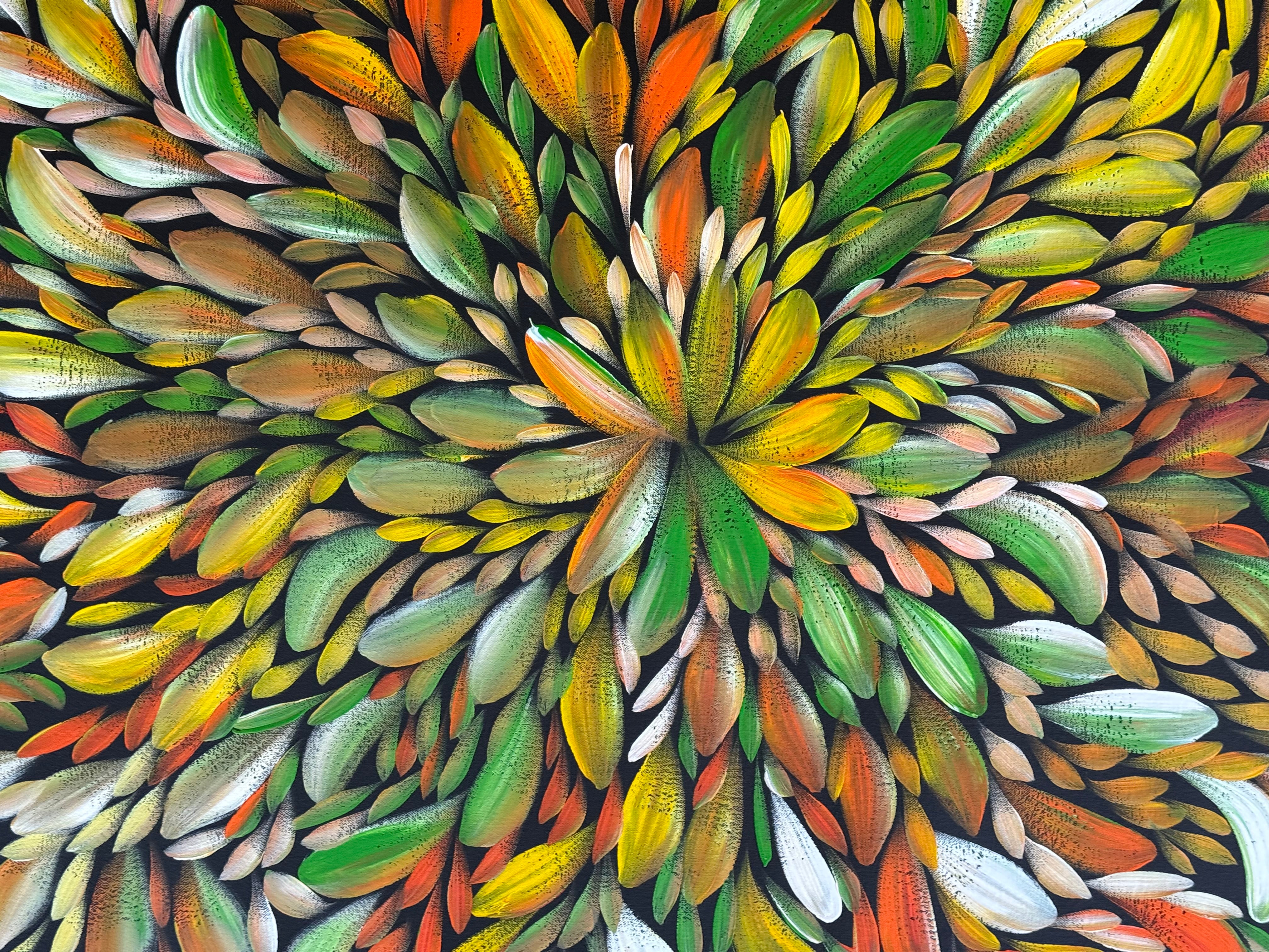 Louise Numina Napananka - Bush Medicine Leaves .57-54