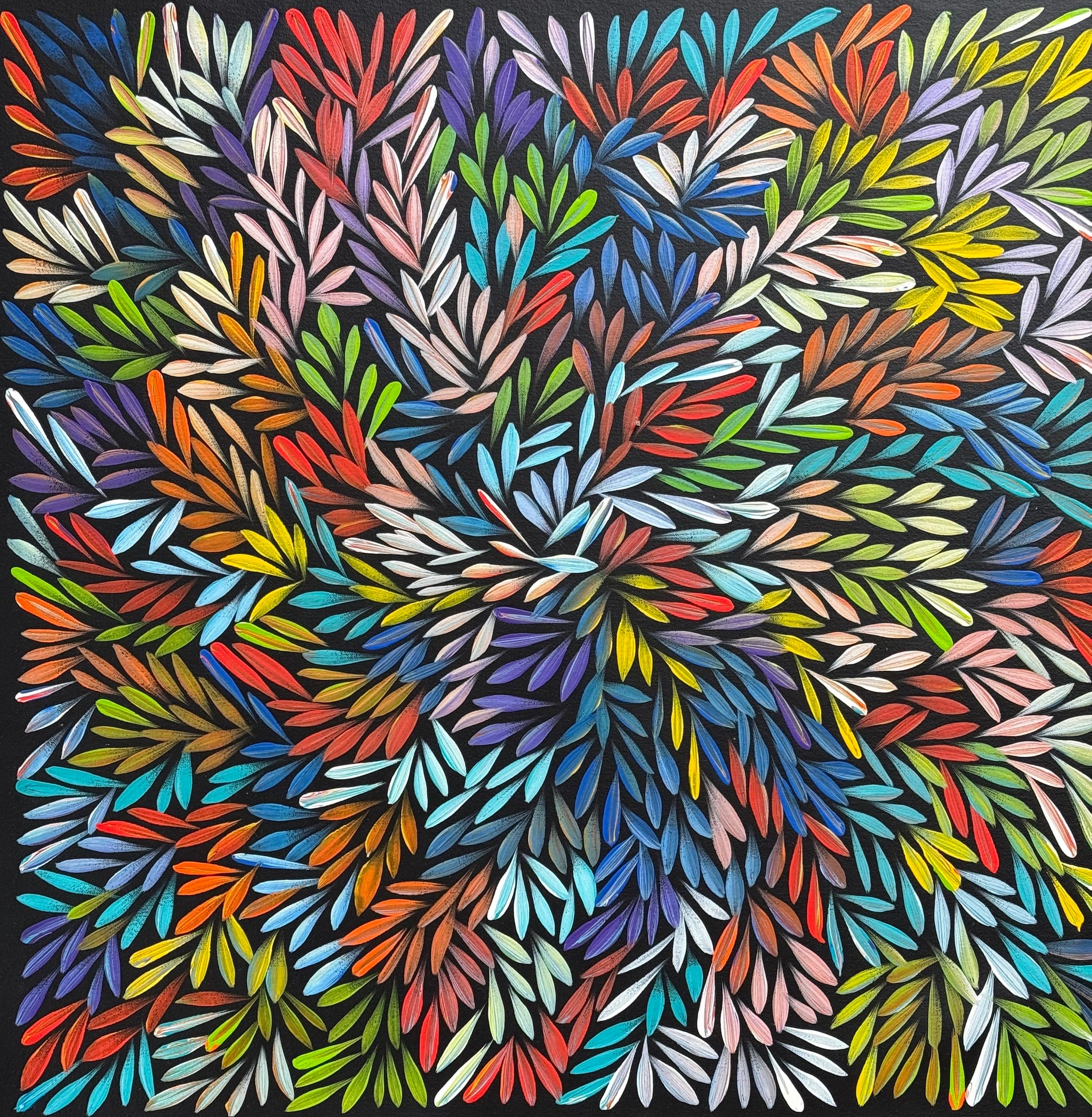 Sharon Numina - Bush Medicine Leaves - 63x63cm .02-22