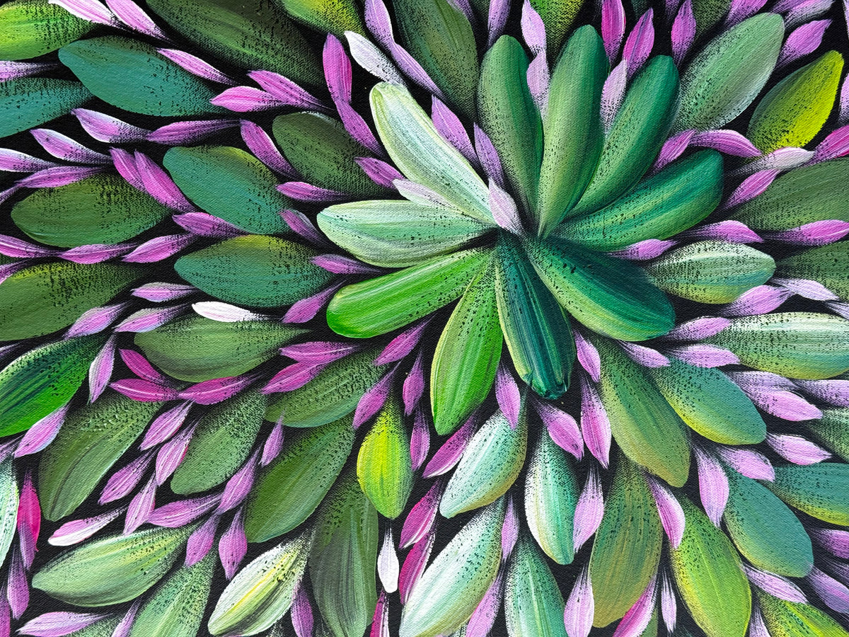 Louise Numina Napananka - Bush Medicine Leaves .43-11