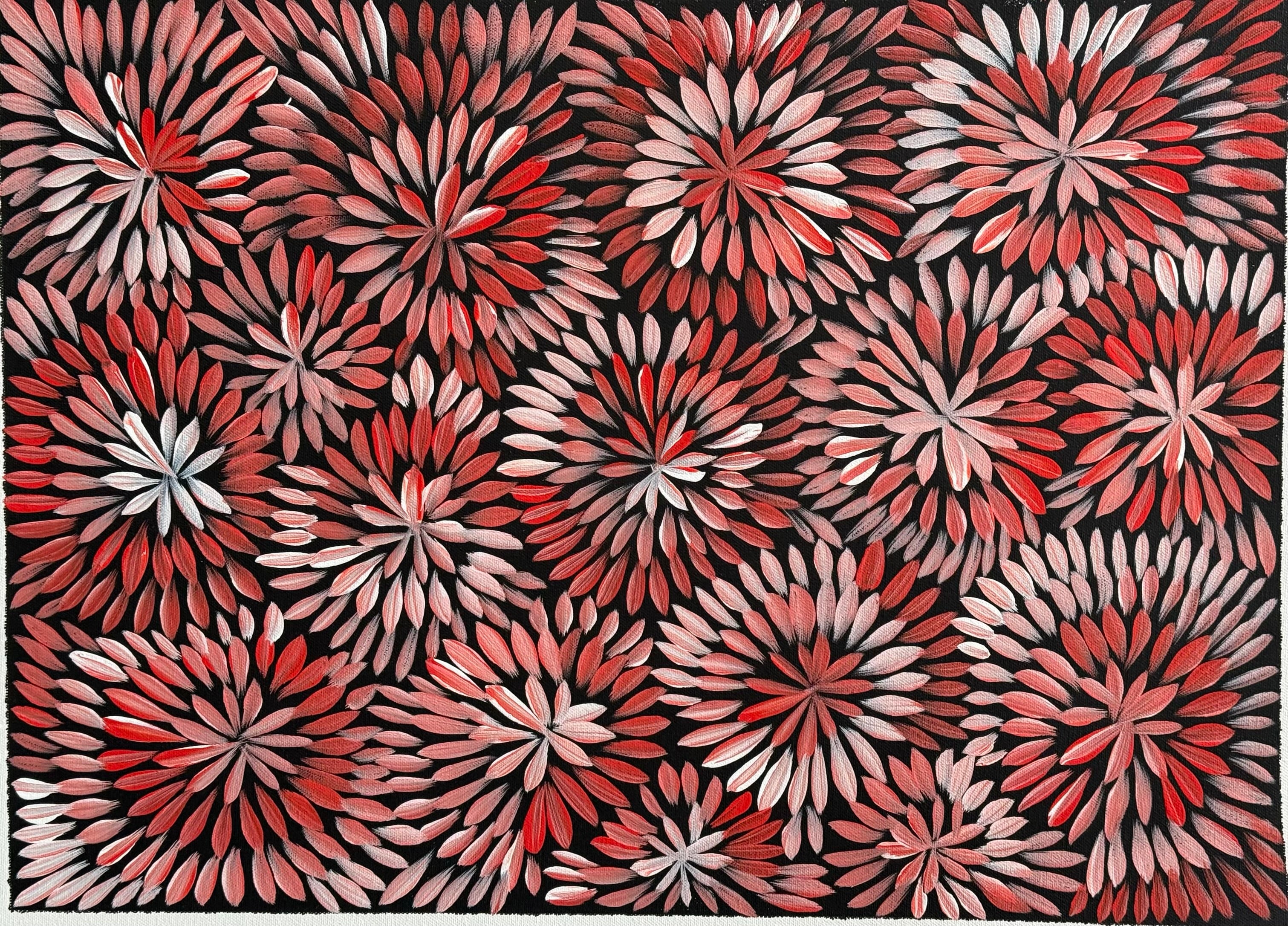 Sharon Numina - Bush Medicine Leaves .14-10