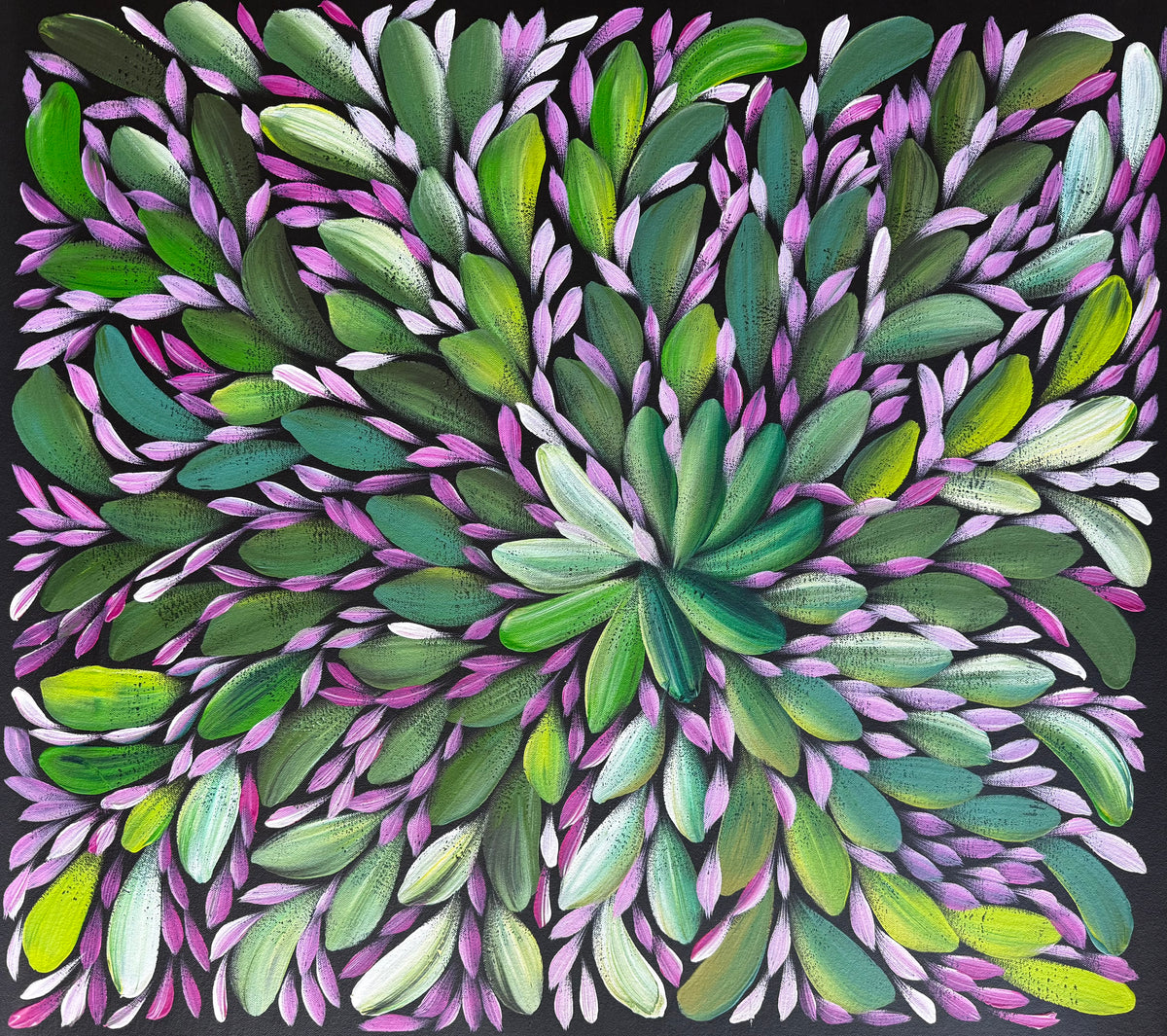 Louise Numina Napananka - Bush Medicine Leaves .43-11