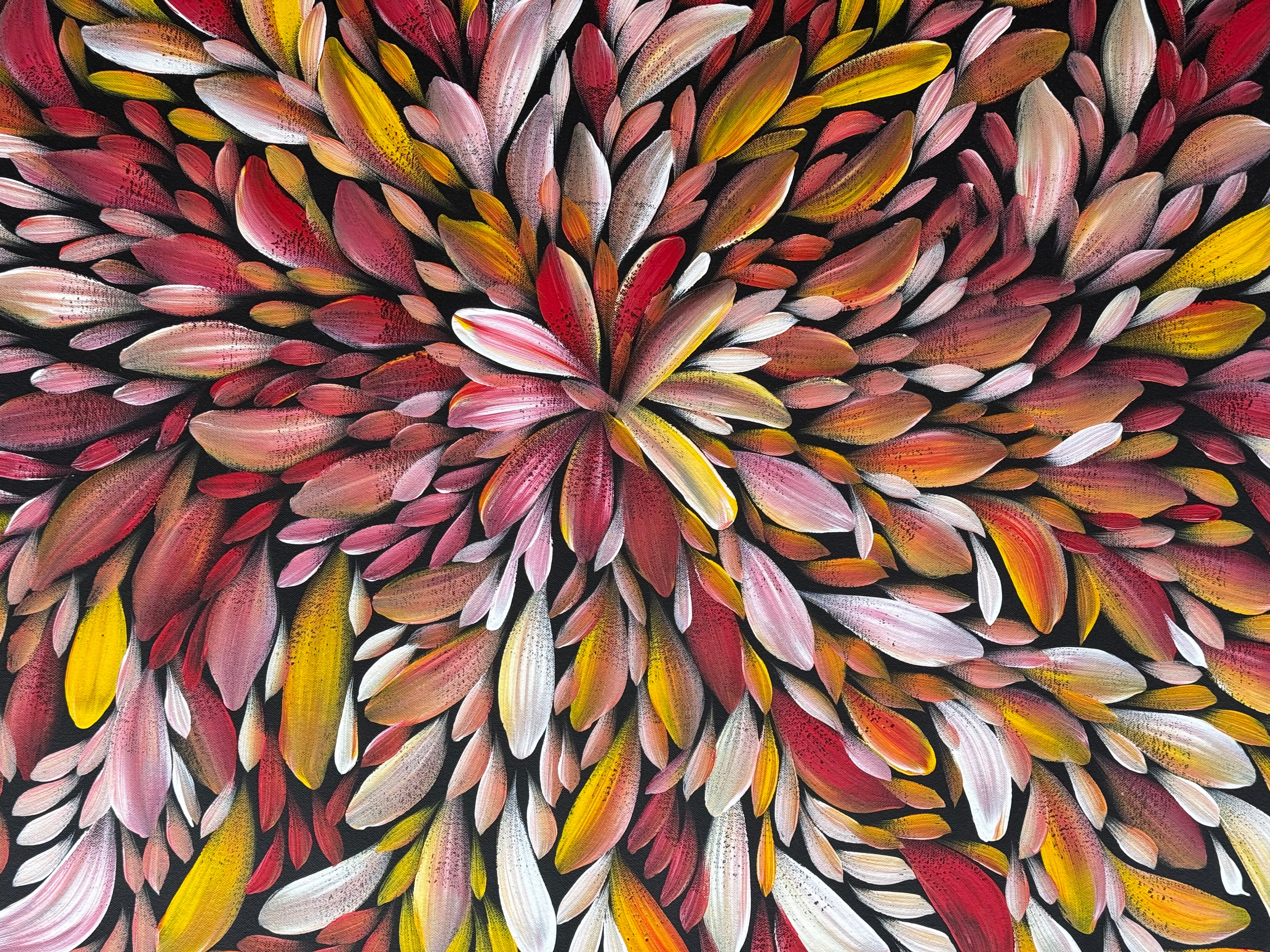 Louise Numina Napananka - Bush Medicine Leaves .57-63