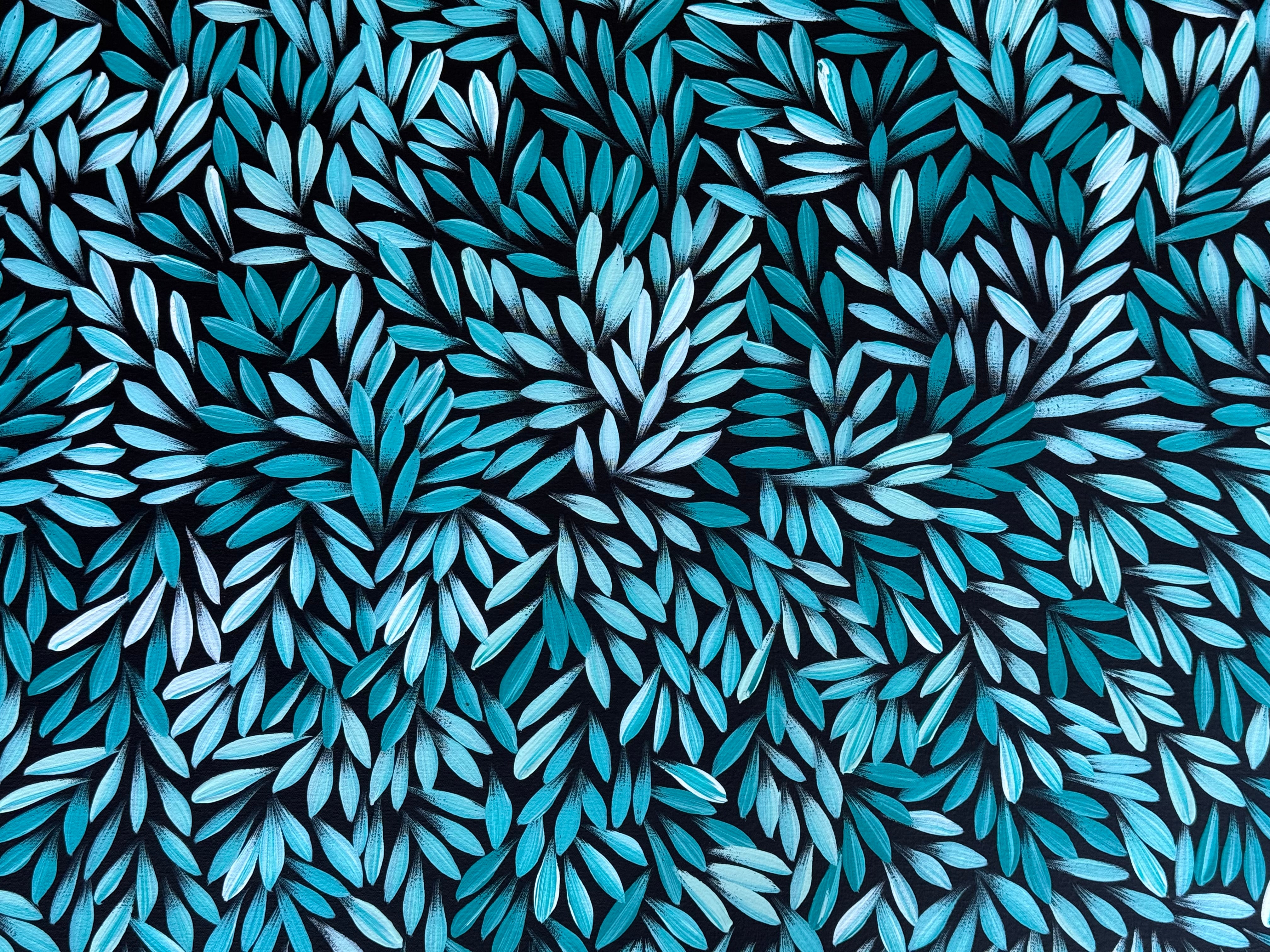 Sharon Numina - Bush Medicine Leaves .50-7