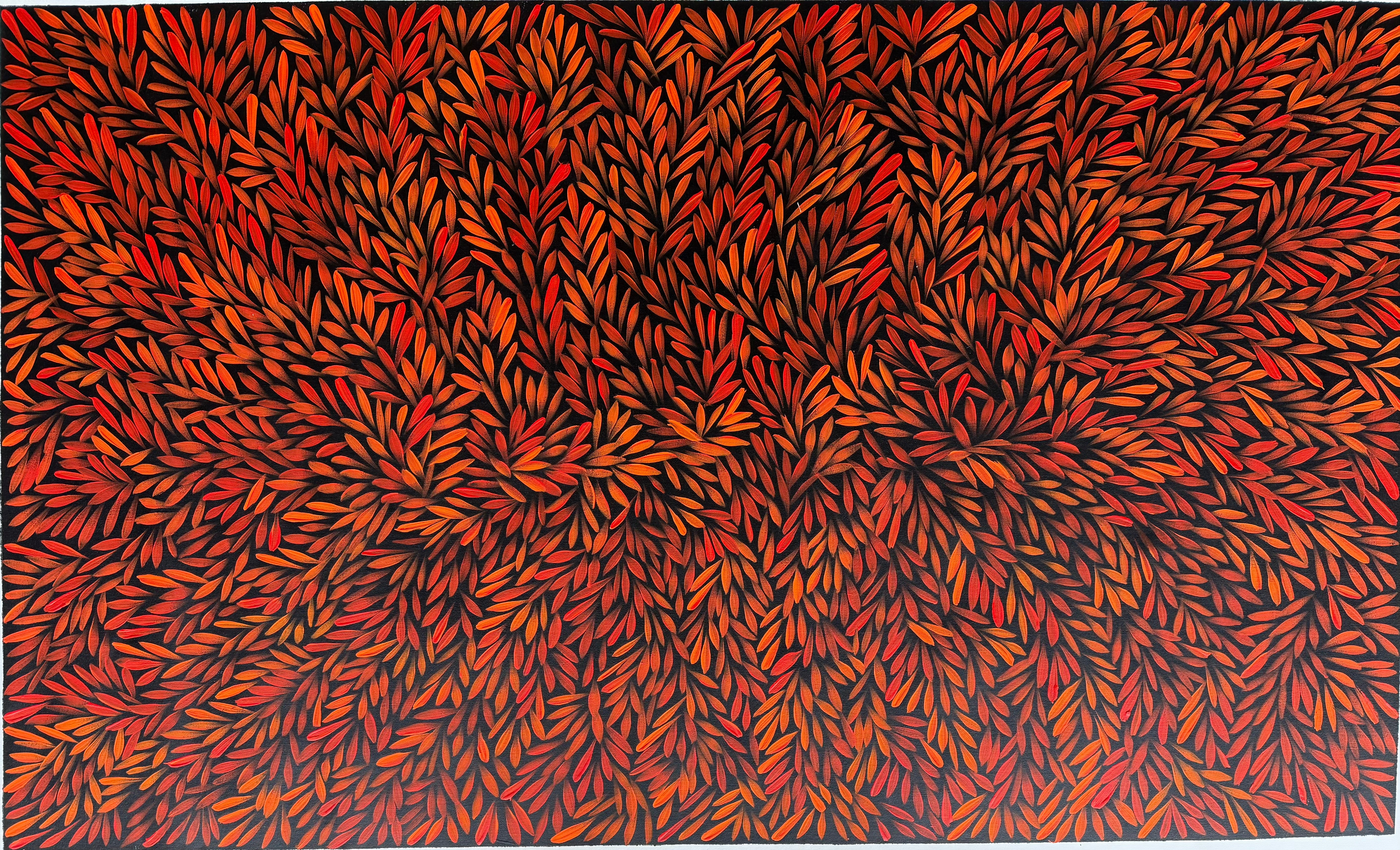 Sharon Numina - Bush Medicine Leaves .68-9