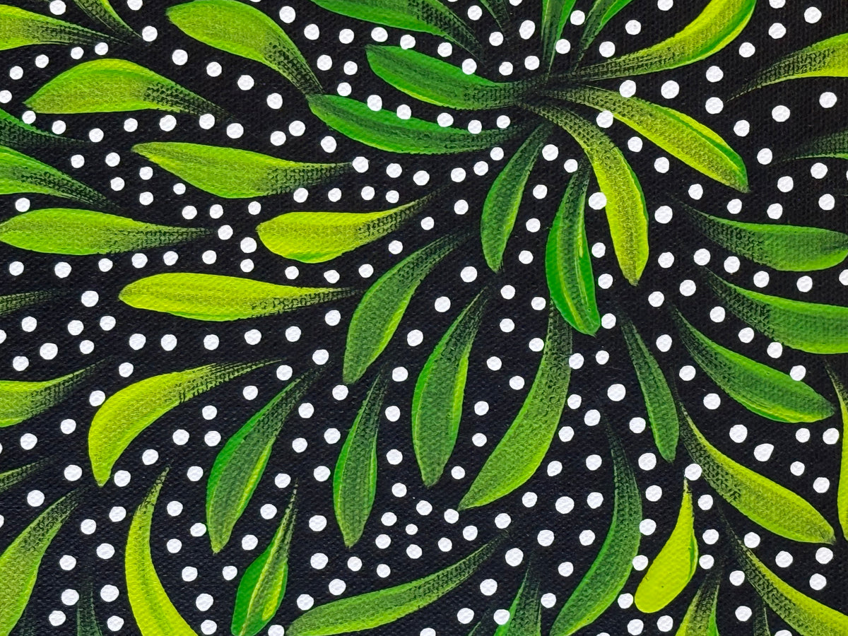 Caroline Numina - Bush Medicine Leaves and Seeds .45-5