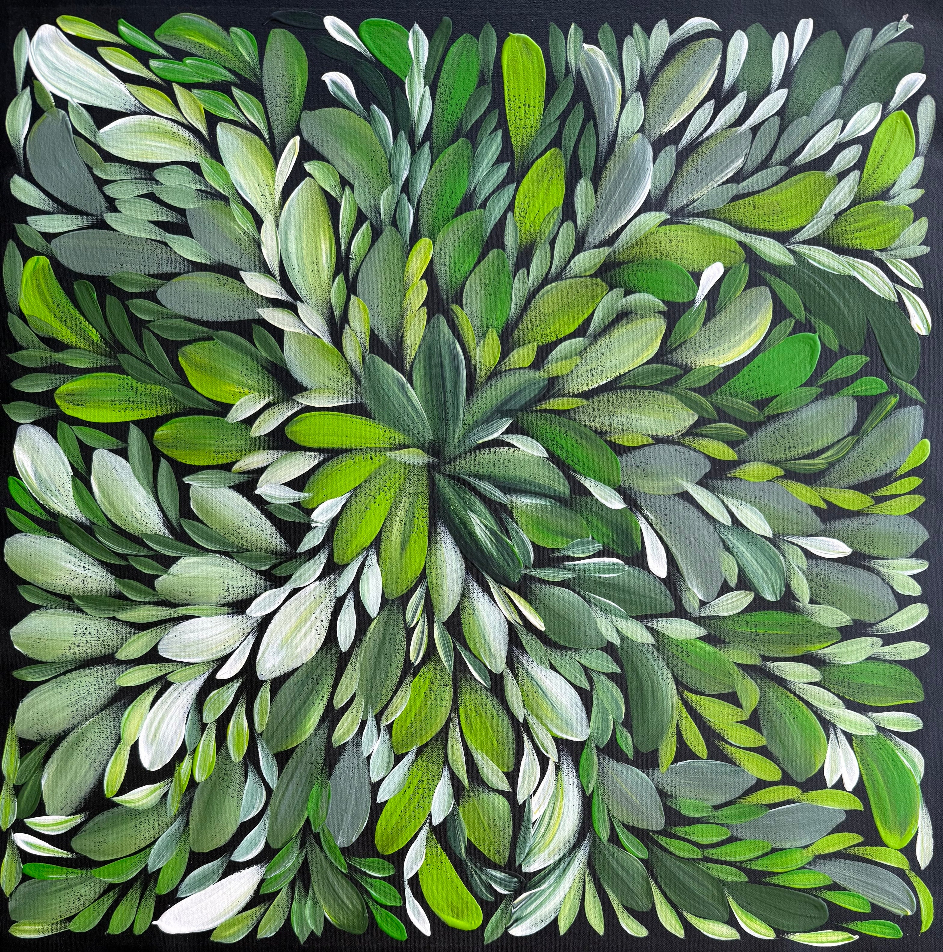 Louise Numina Napananka - Bush Medicine Leaves - 61x61cm .18-8