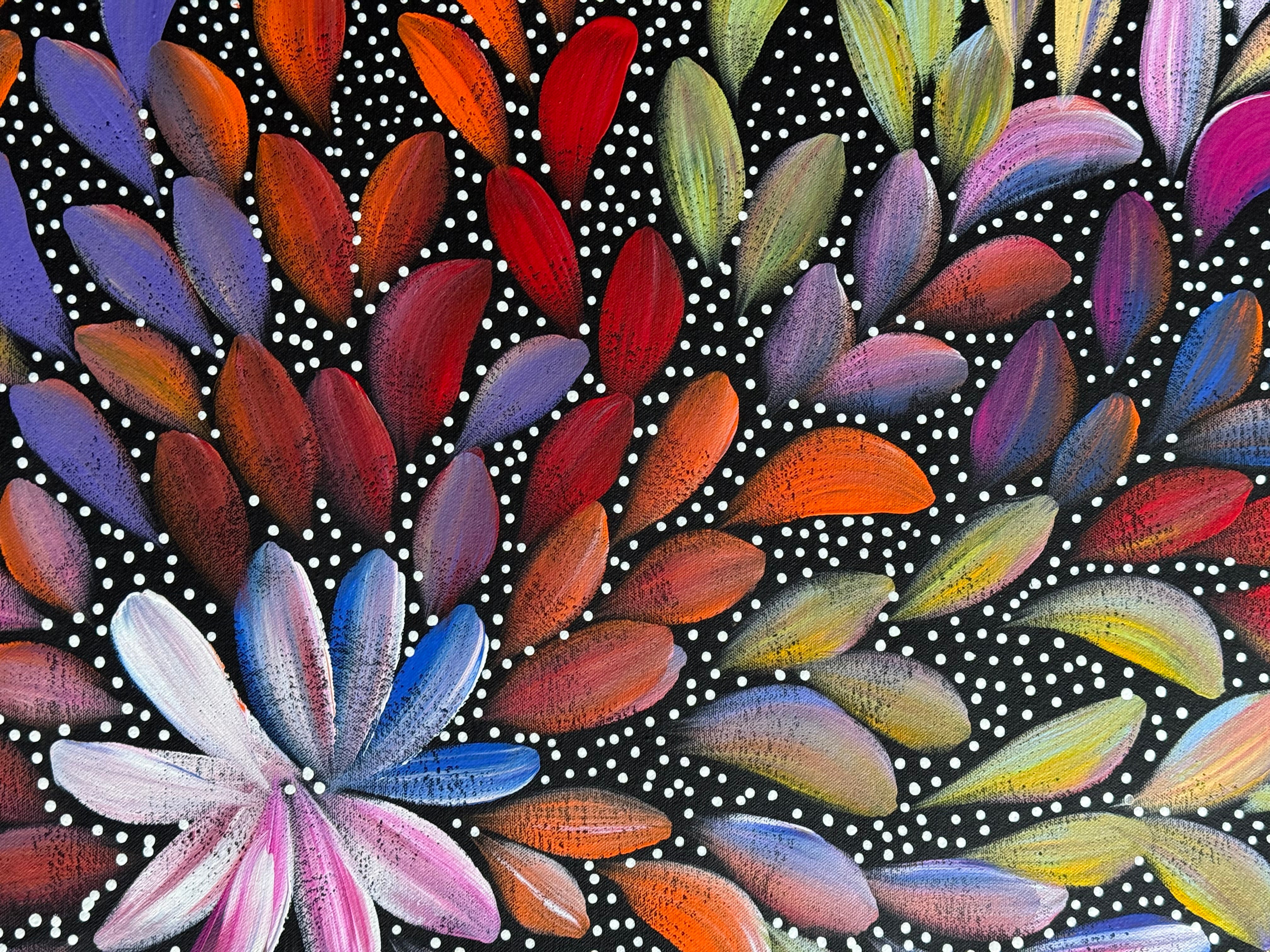 Louise Numina Napananka - Bush Medicine Leaves and Seeds .29-8