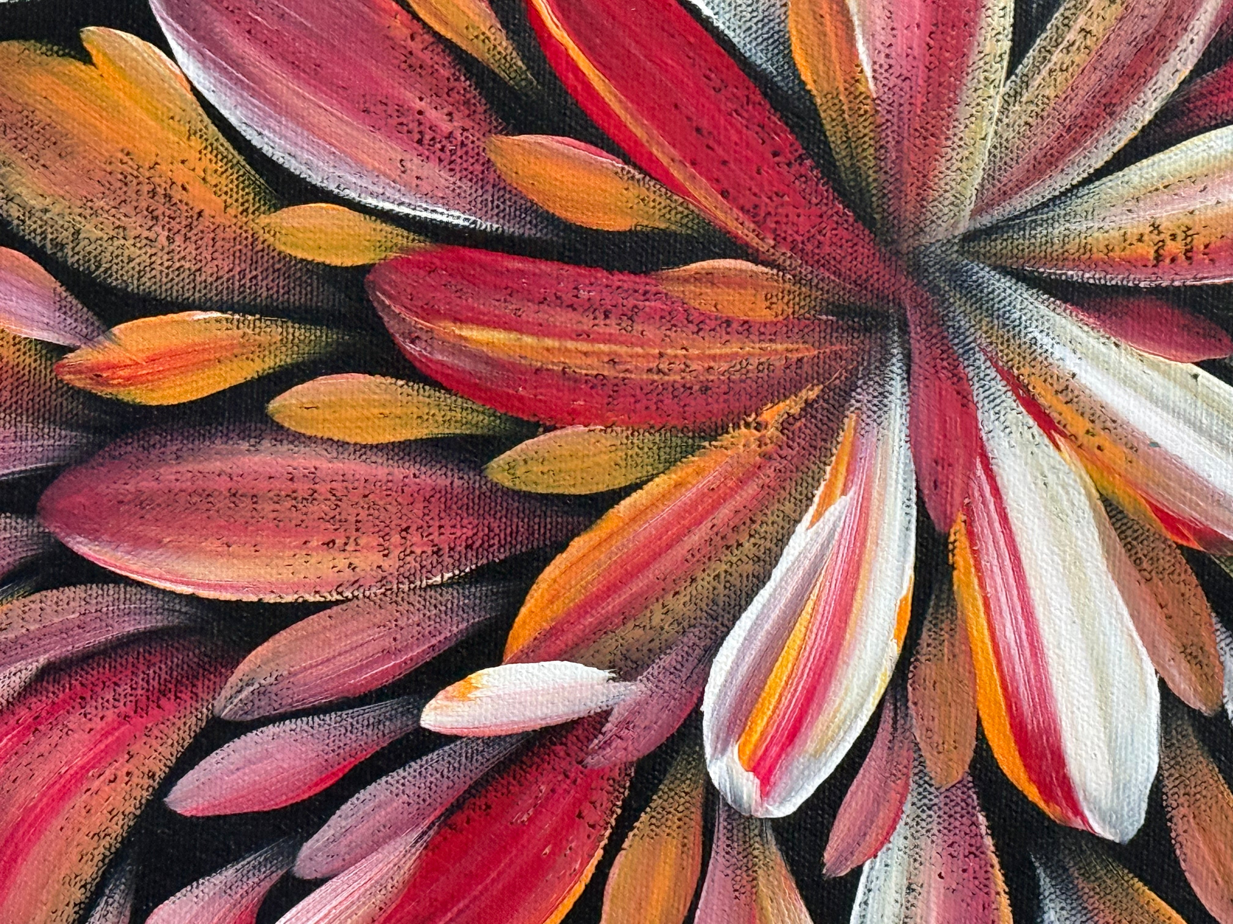 Louise Numina Napananka - Bush Medicine Leaves .16-11