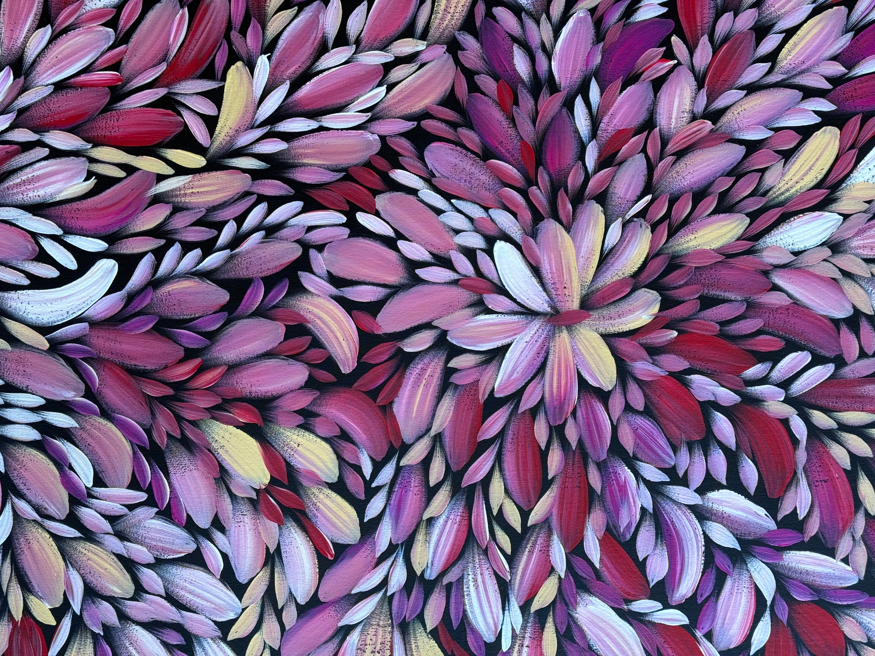 Louise Numina Napananka - Bush Medicine Leaves .41-21