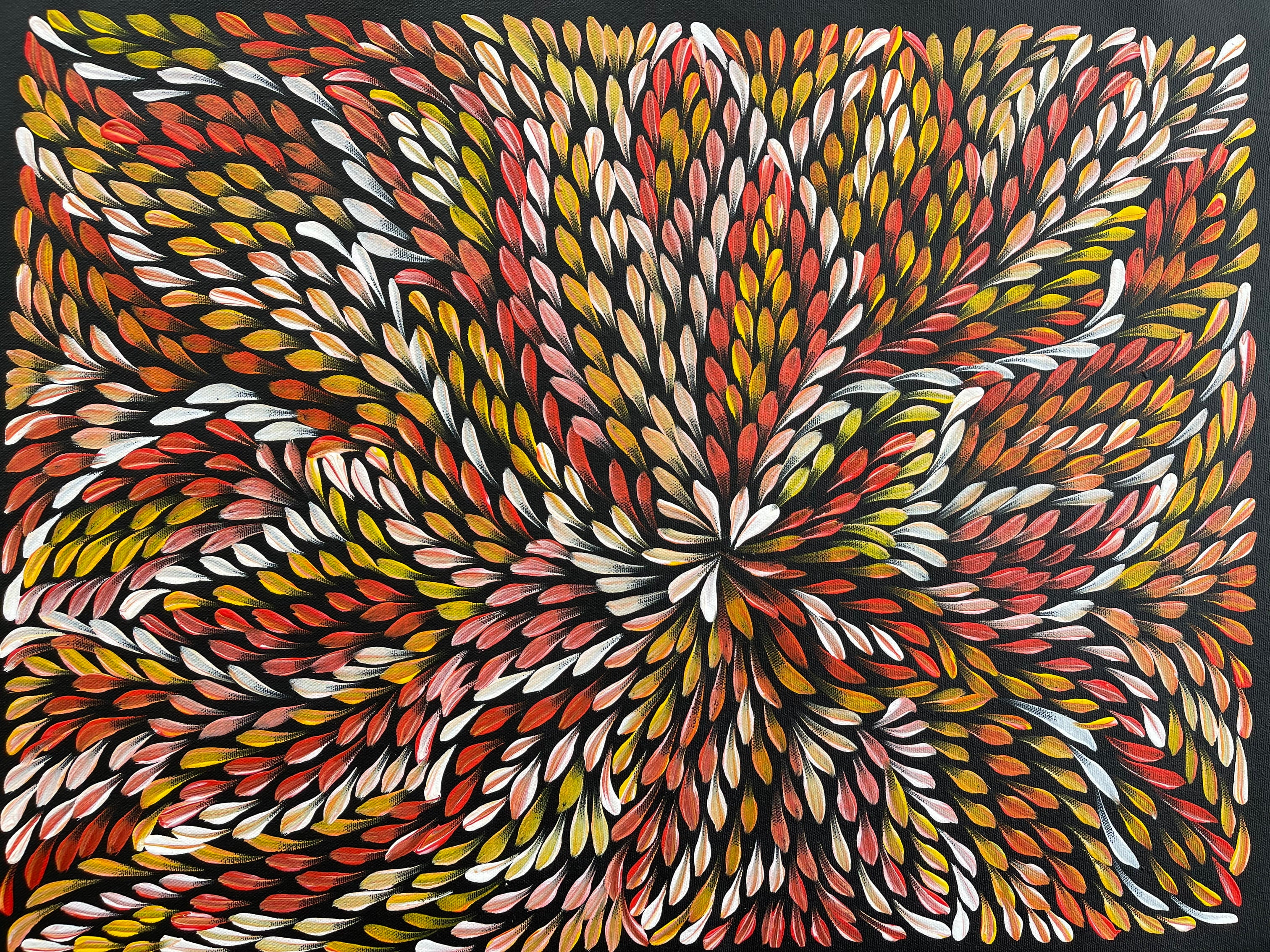 Caroline Numina - Bush Medicine Leaves - 55x41cm .60-3