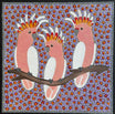Kathleen Buzzacott - Major Mitchell's Cockatoos .53-11