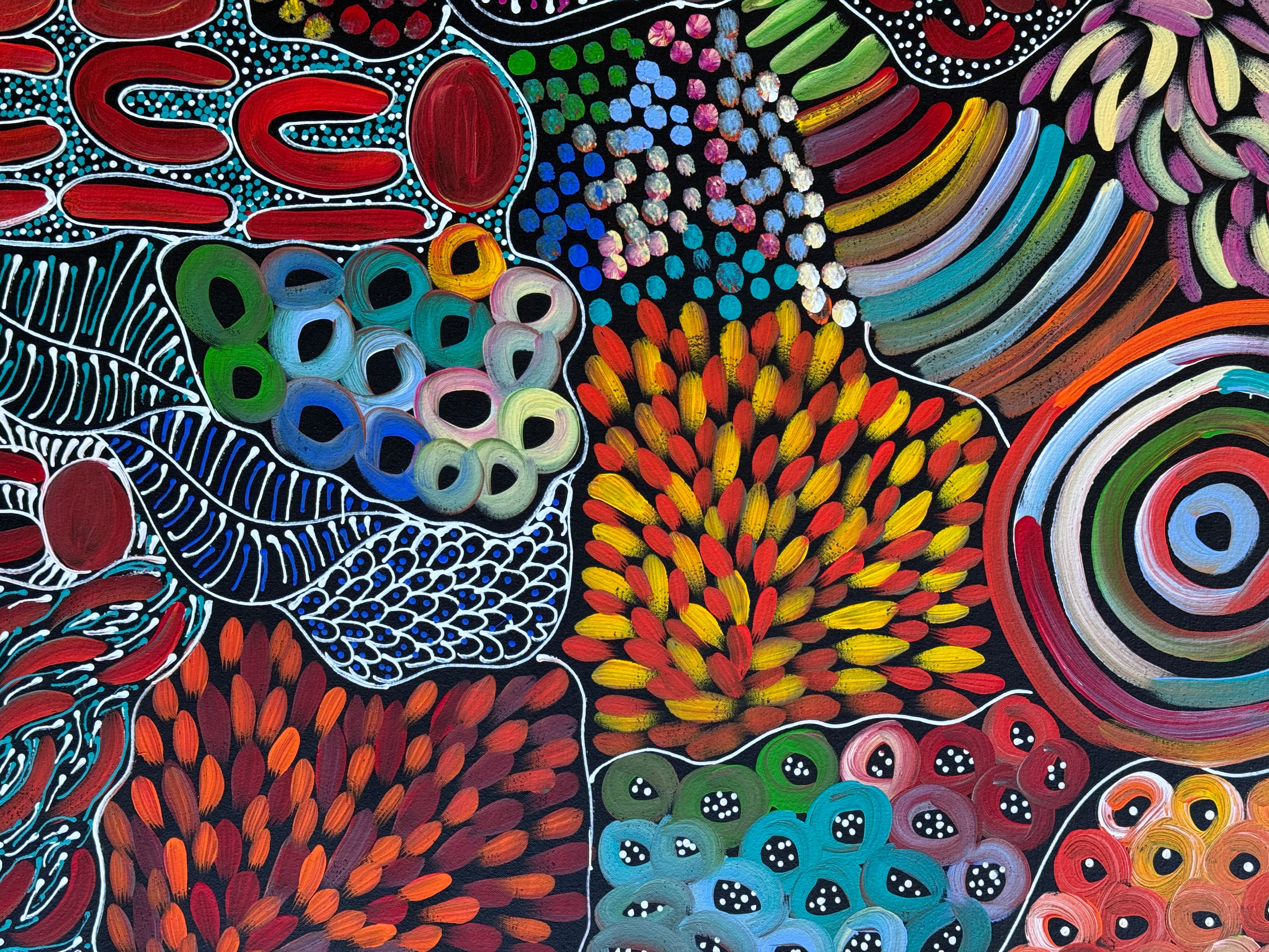 Louise Numina Napananka - Dreamtime .86-16