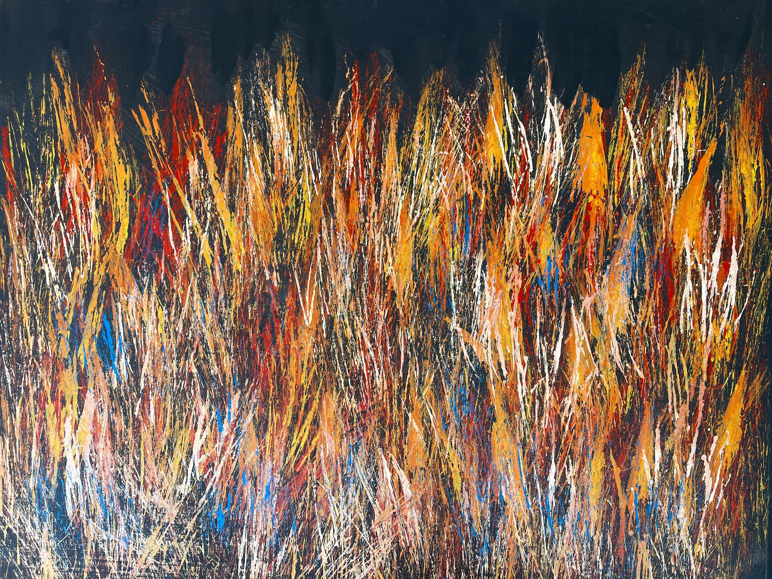 Reggie Sultan - 90x70cm - Bushfire Dreaming .55-2