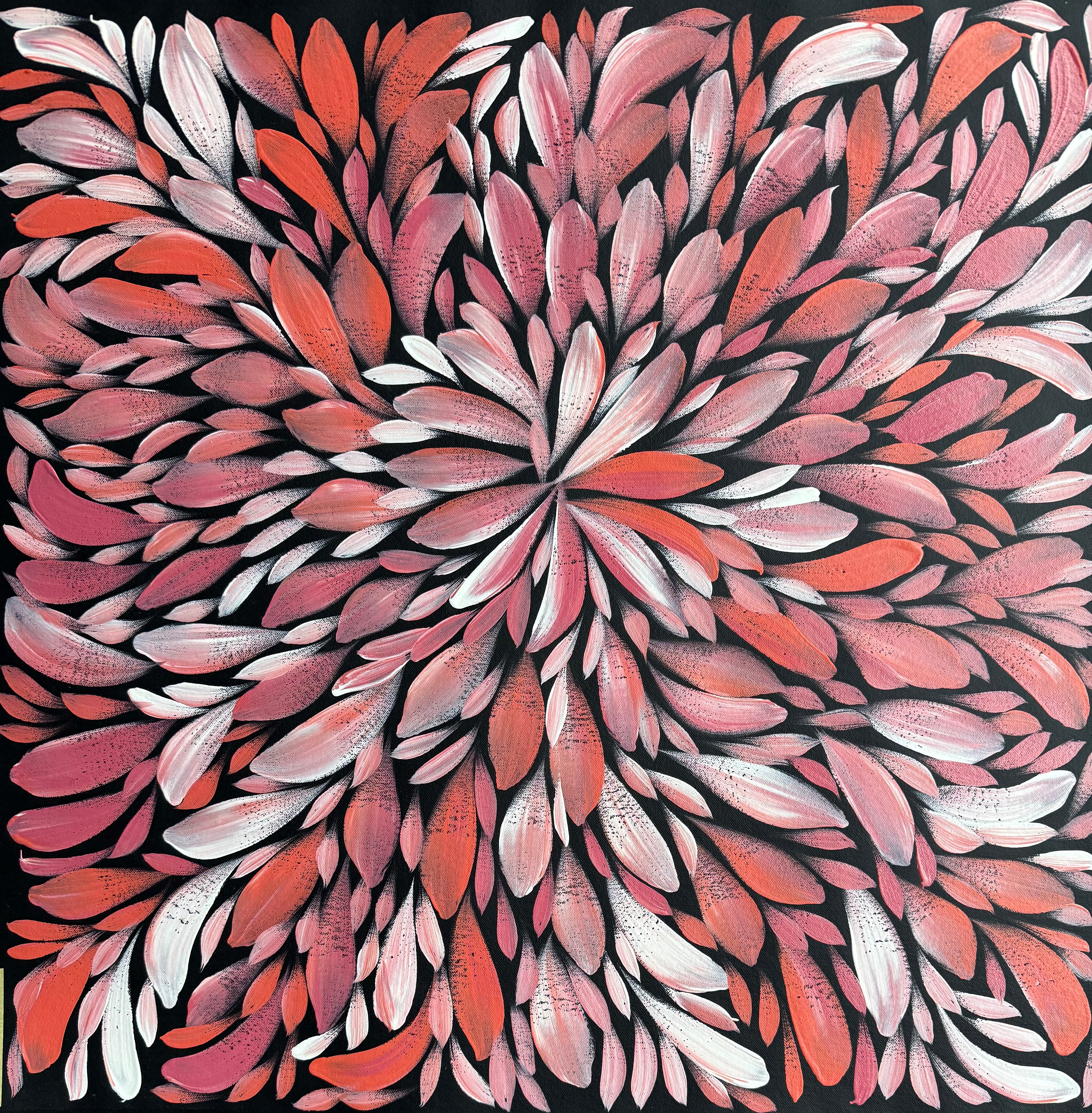 Louise Numina Napananka - Bush Medicine Leaves .30-10