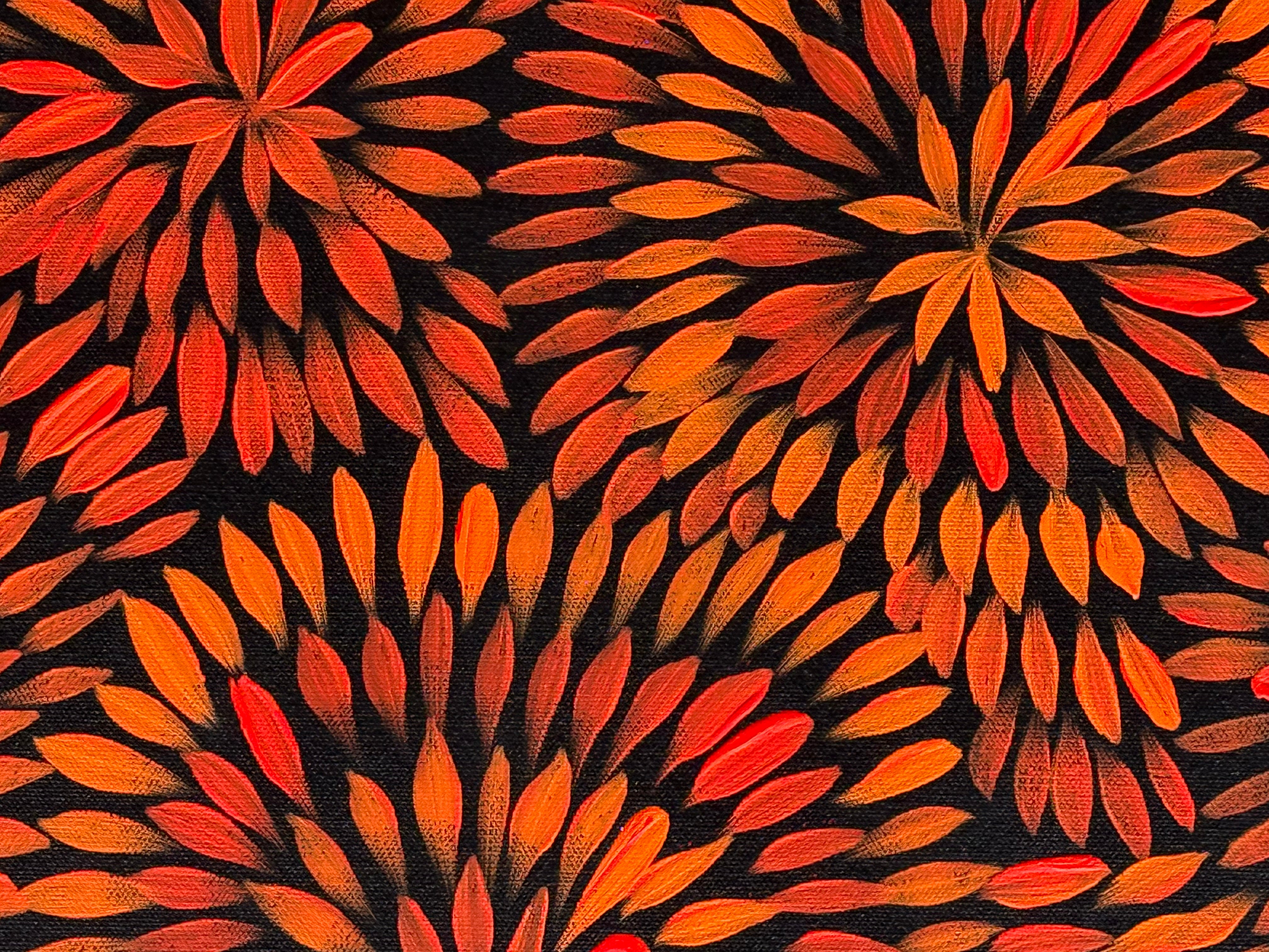 Sharon Numina - Bush Medicine Flowers .68-8