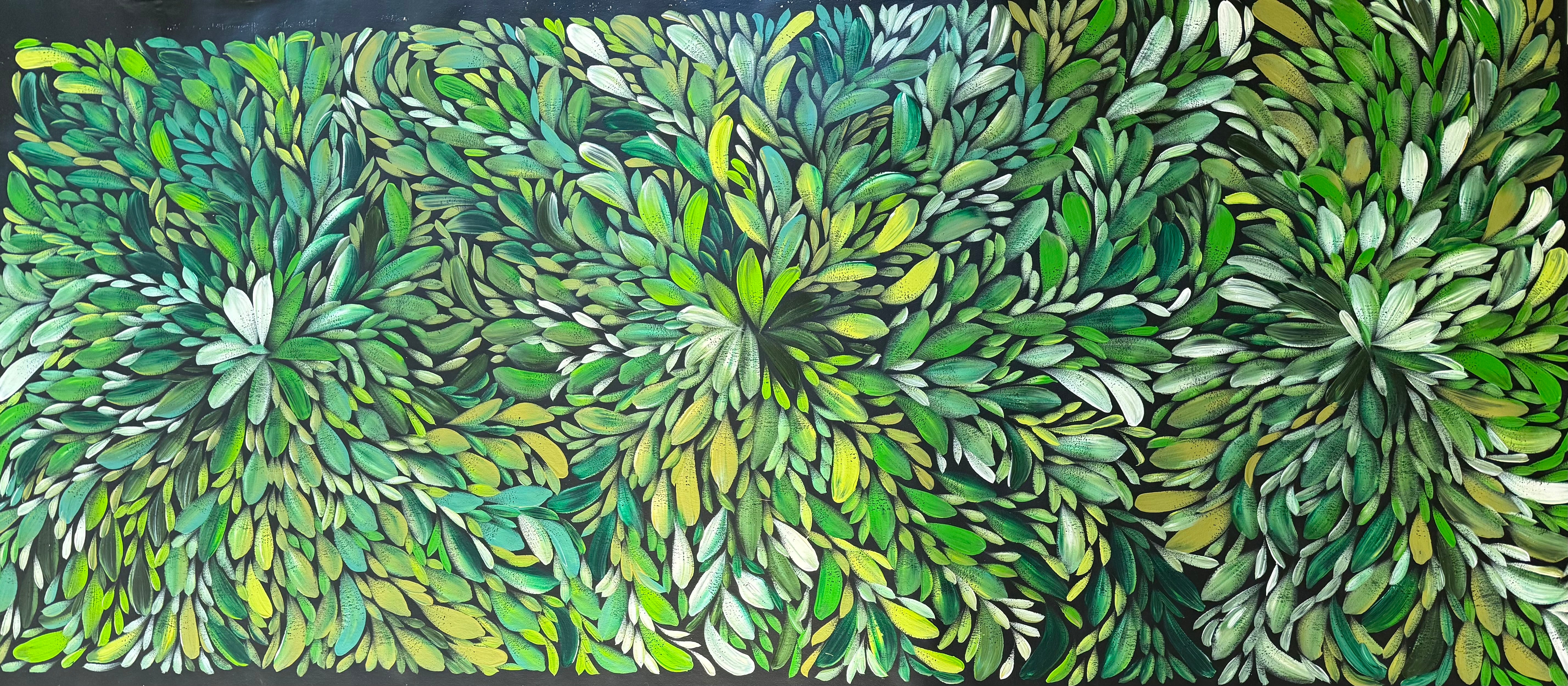 Louise Numina Napananka - Bush Medicine Leaves .22-11