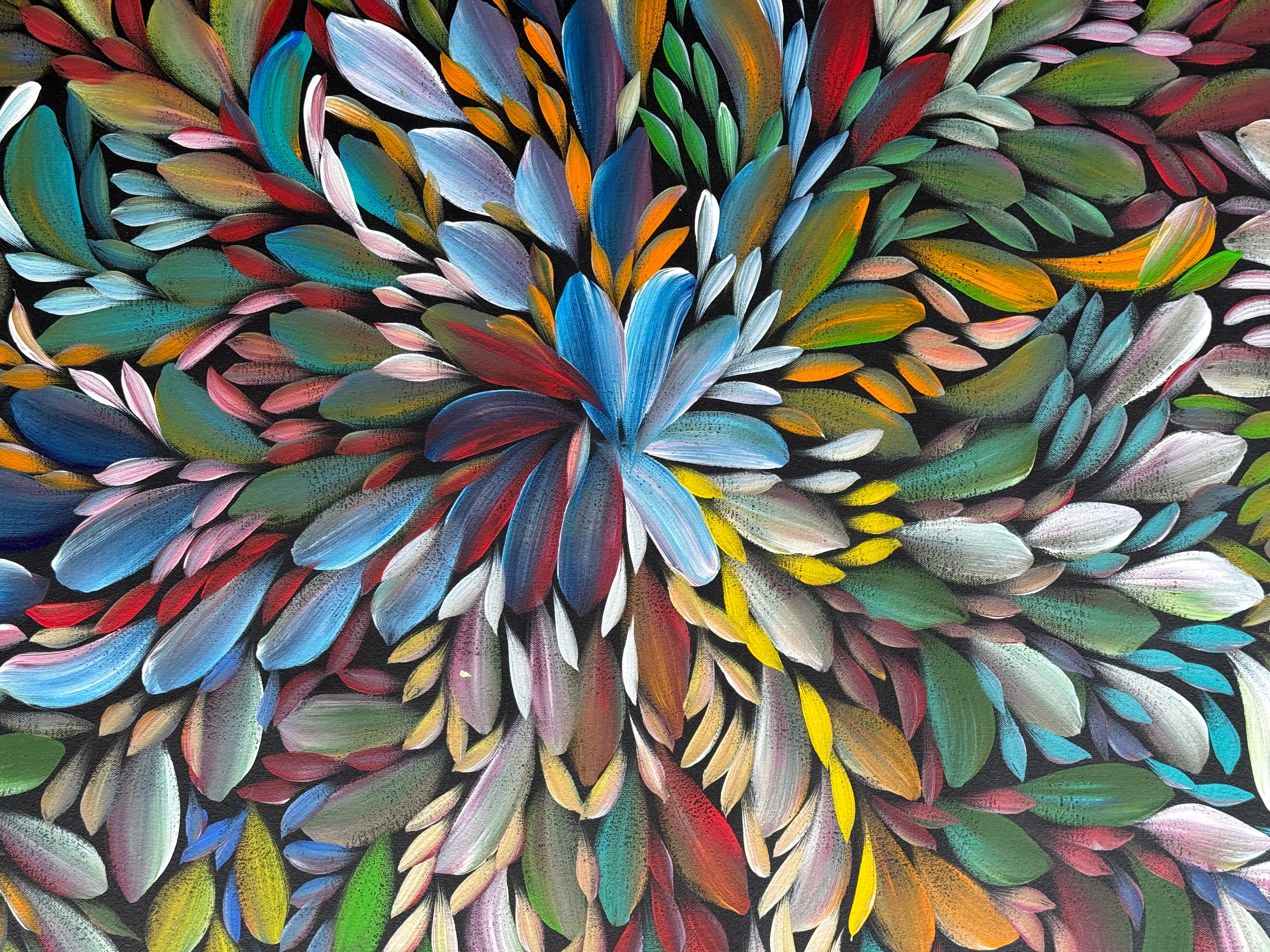 Louise Numina Napananka - Bush Medicine Leaves .22-38