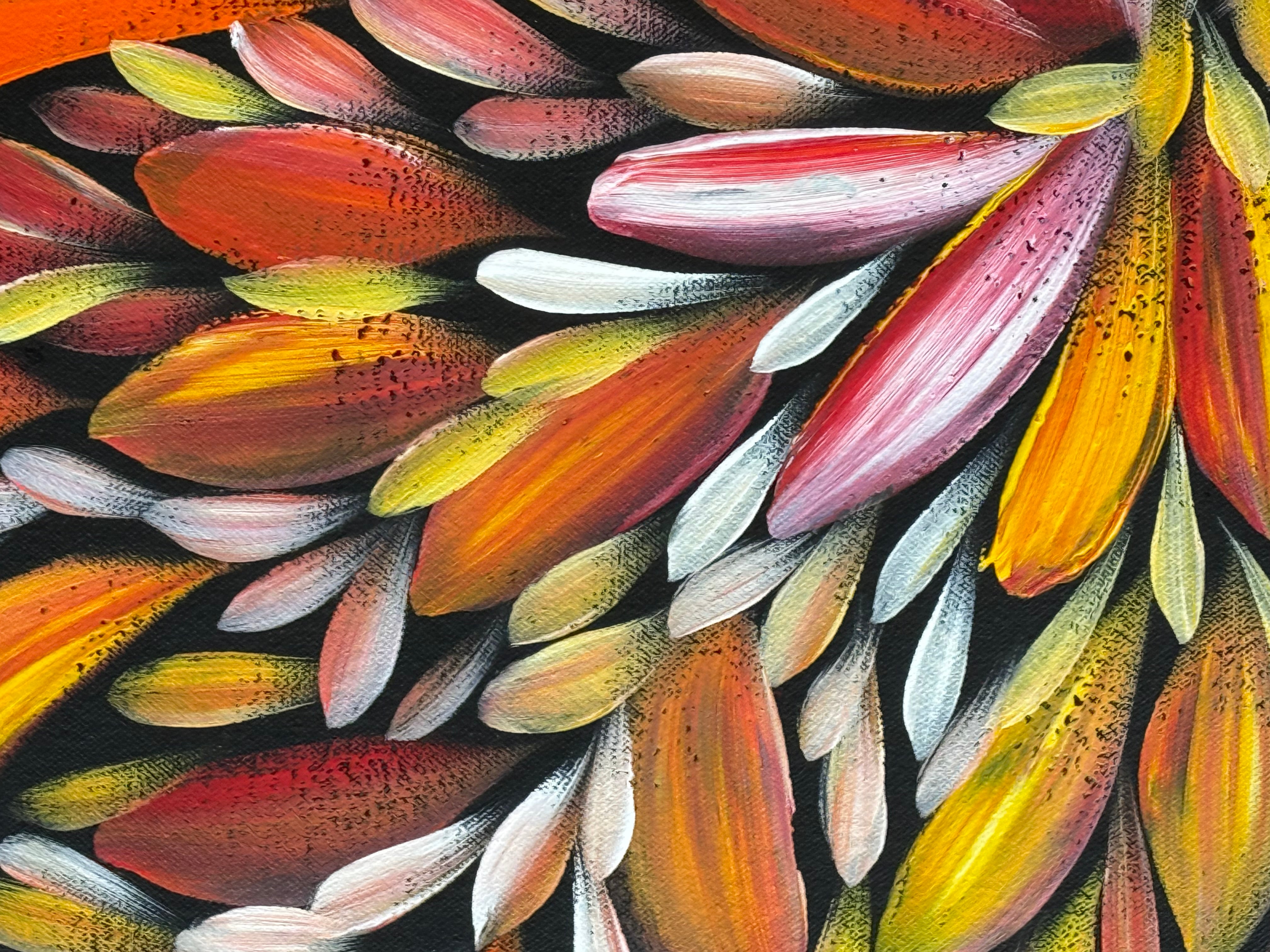 Louise Numina Napananka - Bush Medicine Leaves .21-16