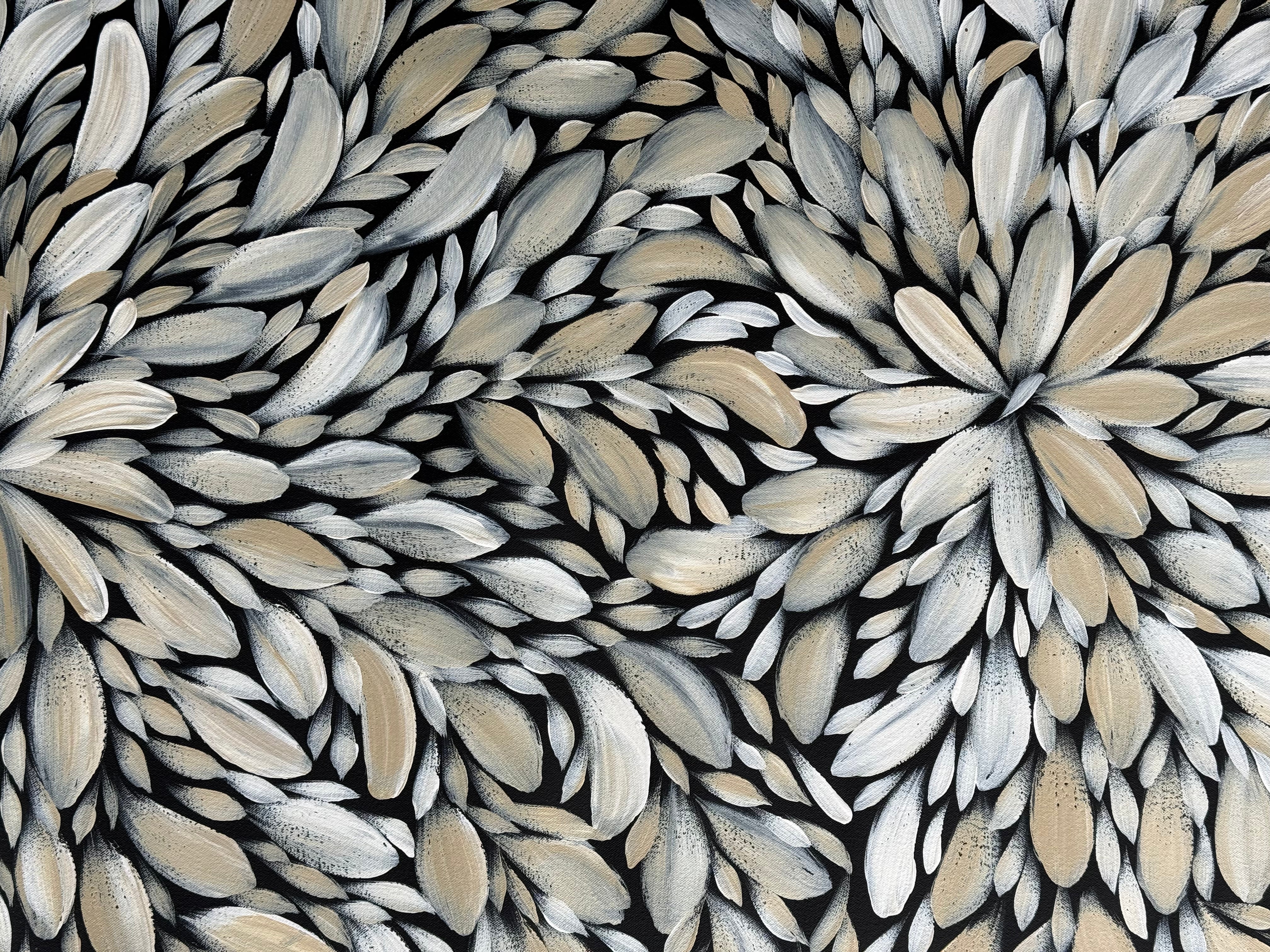Louise Numina Napananka - Bush Medicine Leaves .16-76