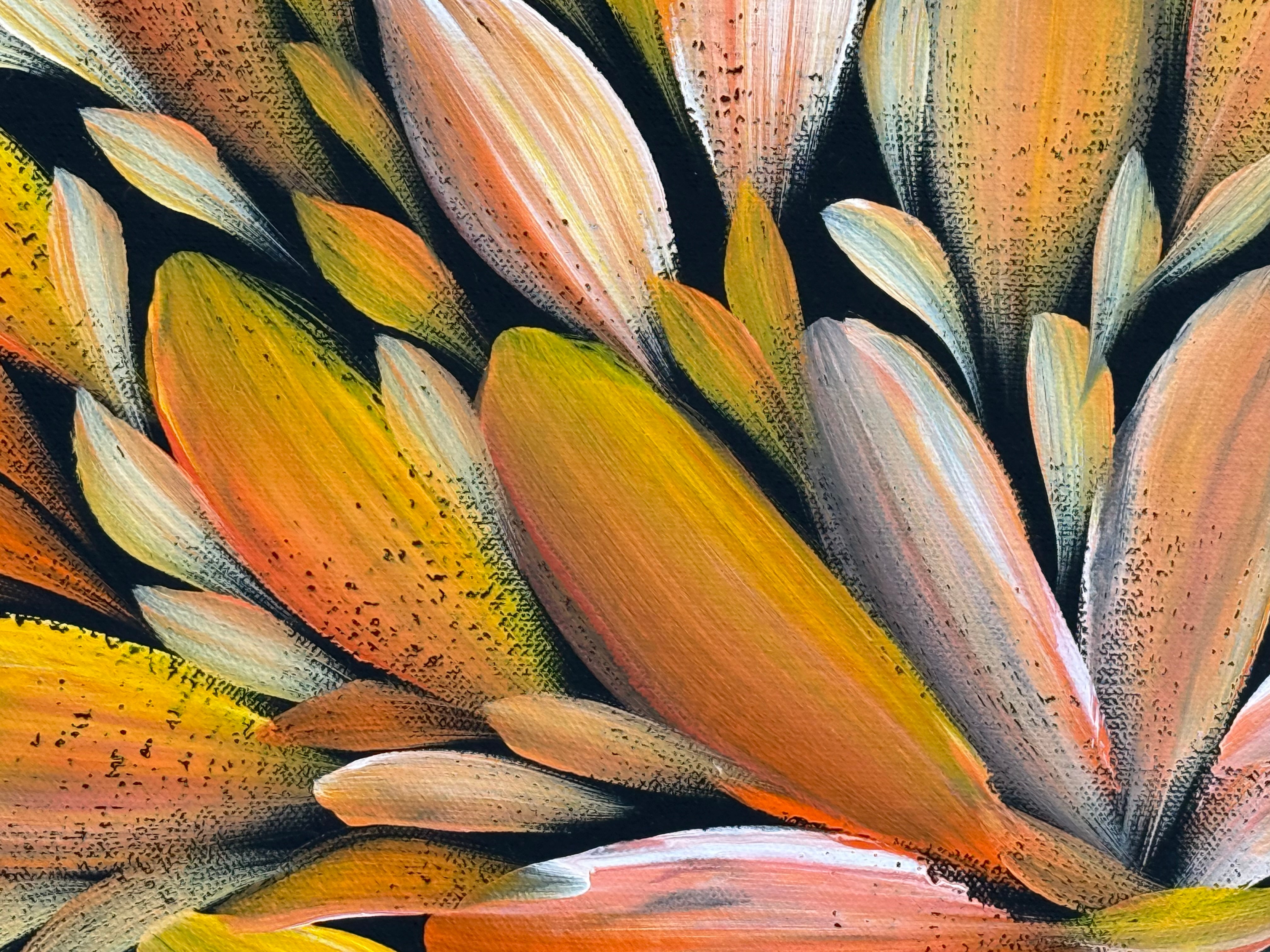 Louise Numina Napananka - Bush Medicine Leaves .75-13