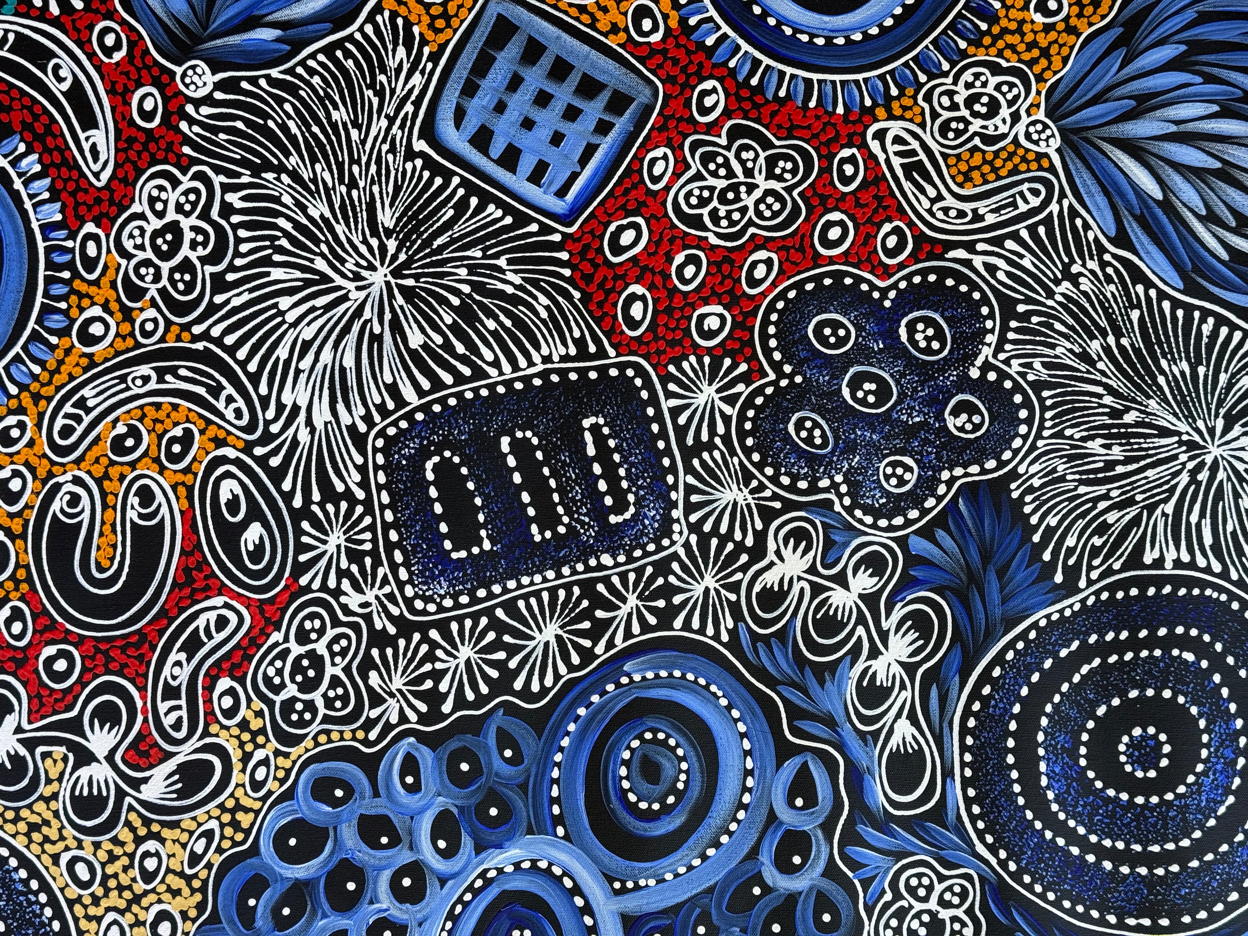 Sharon Numina - My Country Dreaming .95-6