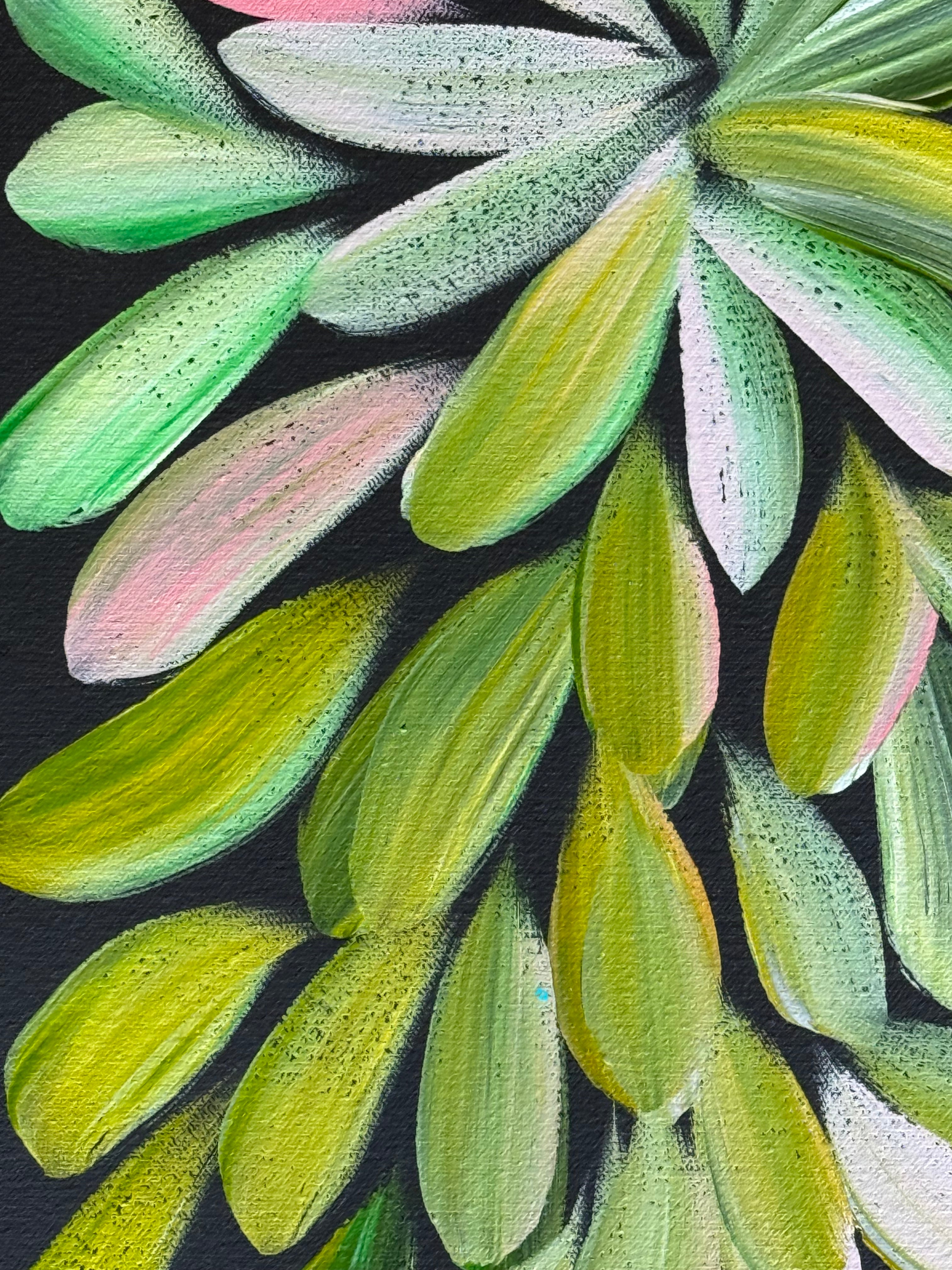 Louise Numina Napananka - Bush Medicine Leaves .30-42 *pre-stretched*