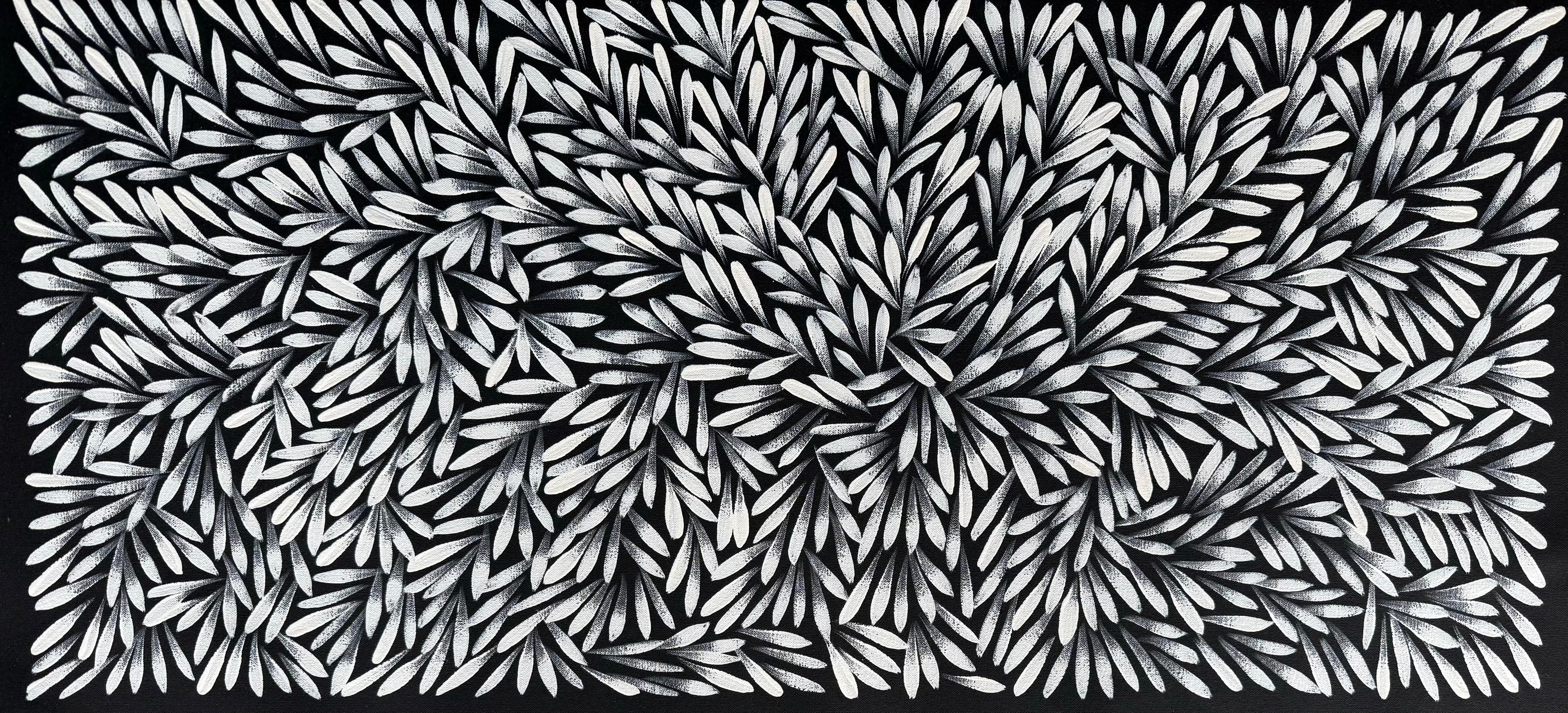 Sharon Numina - Bush Medicine Leaves .59-2