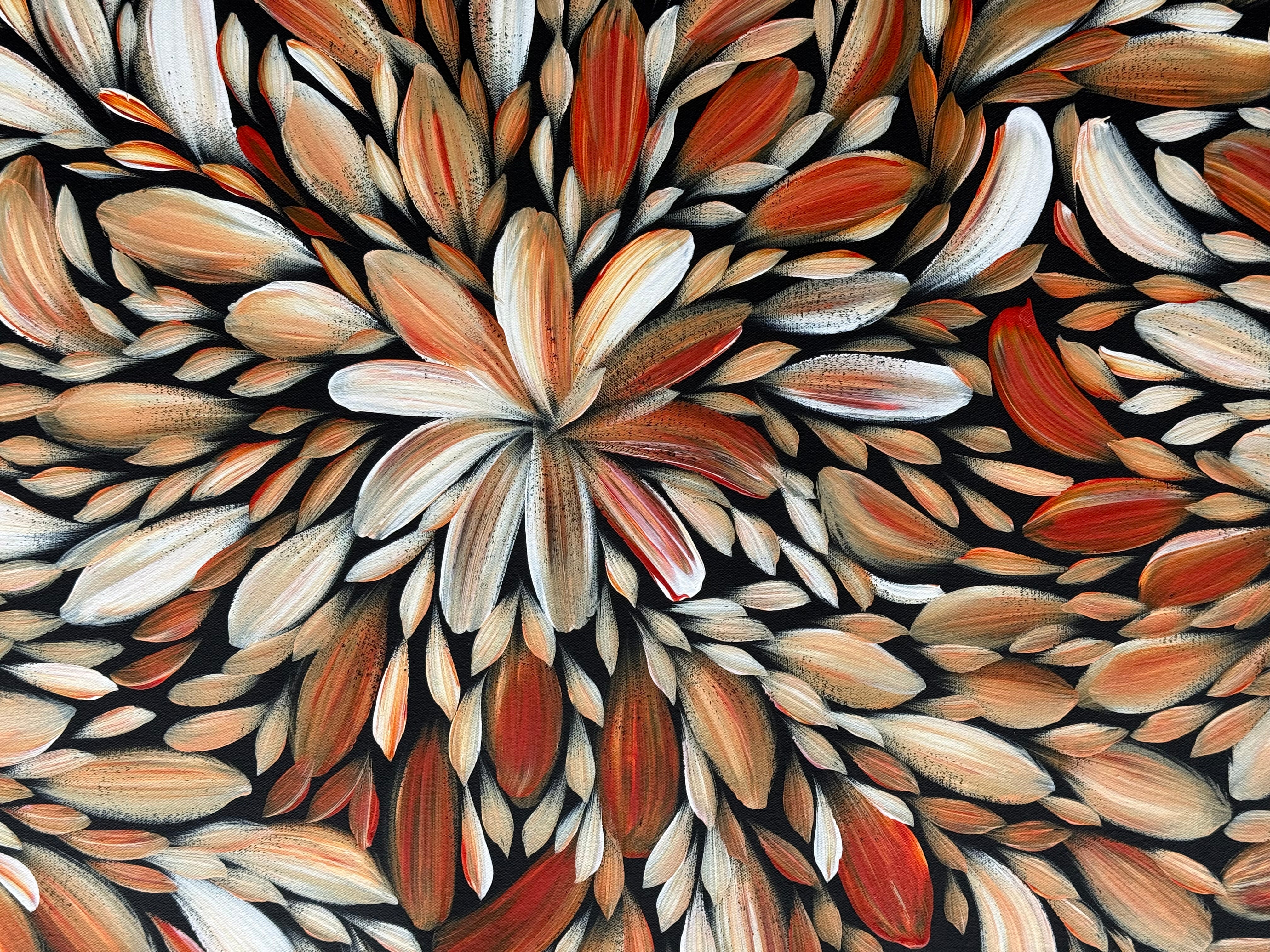 Louise Numina Napananka - Bush Medicine Leaves .16-74