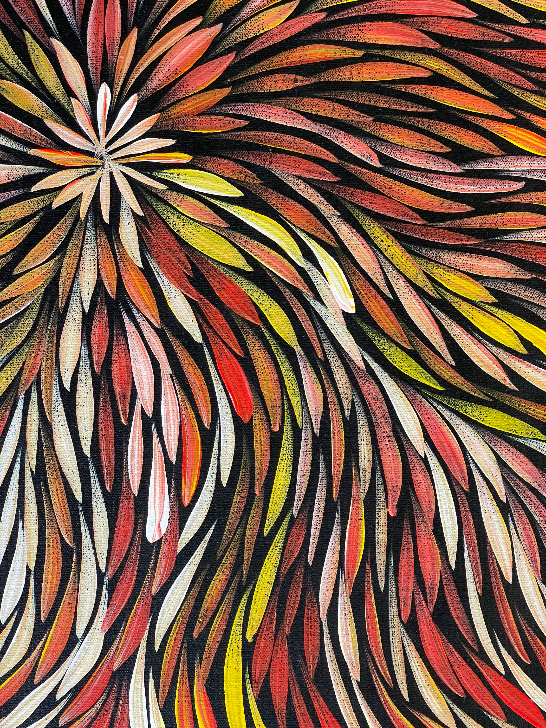 Sharon Numina - Bush Medicine Leaves - 59x60cm .92-6