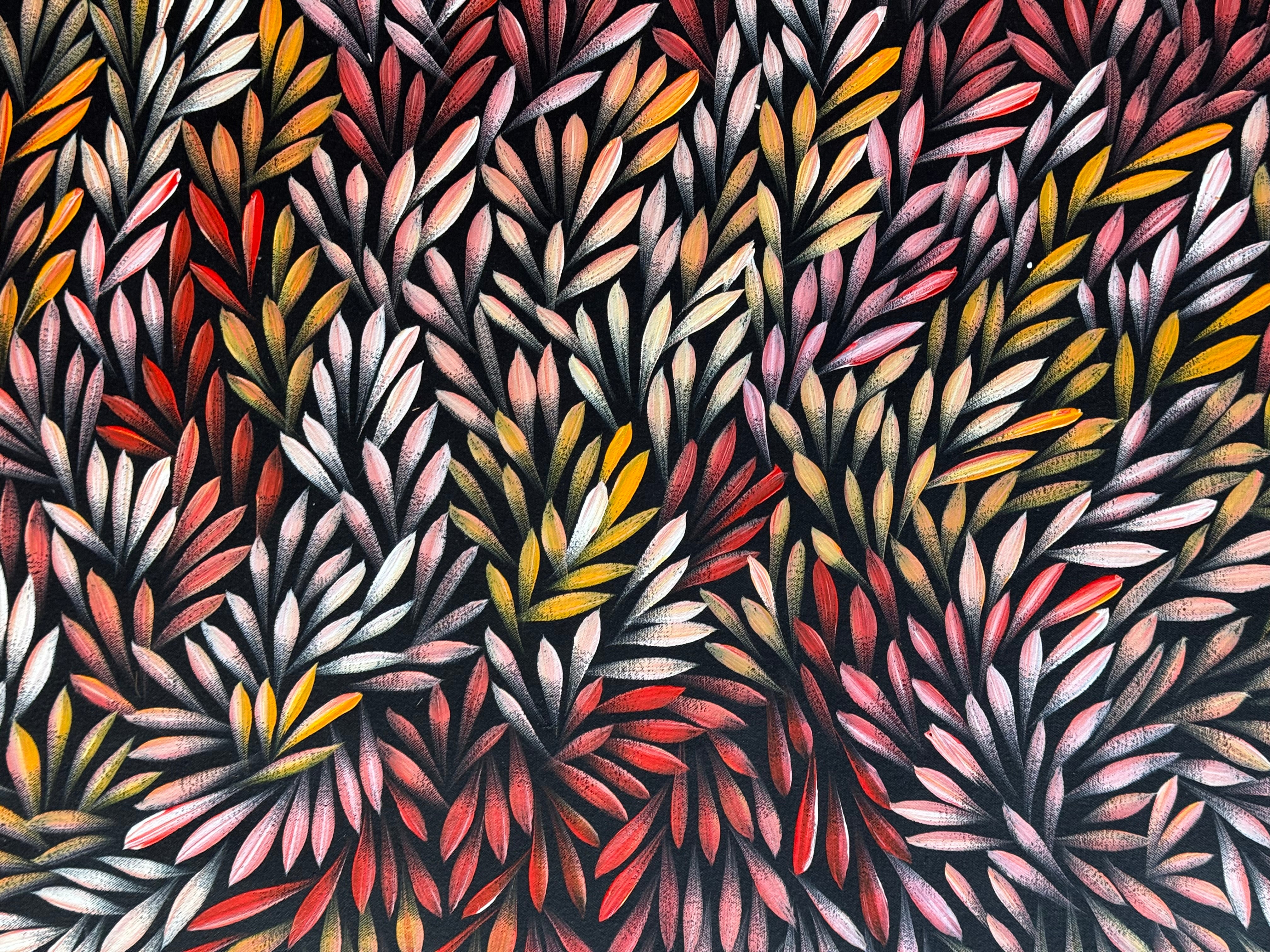 Sharon Numina - Bush Medicine Leaves .14-3