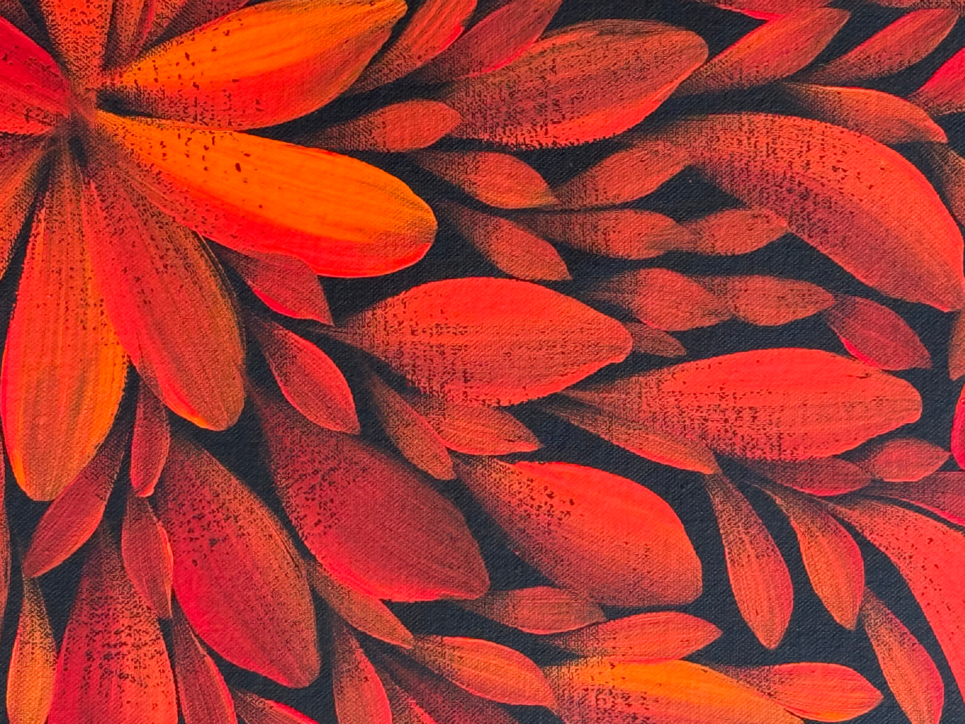 Louise Numina Napananka - Bush Medicine Leaves .57-44