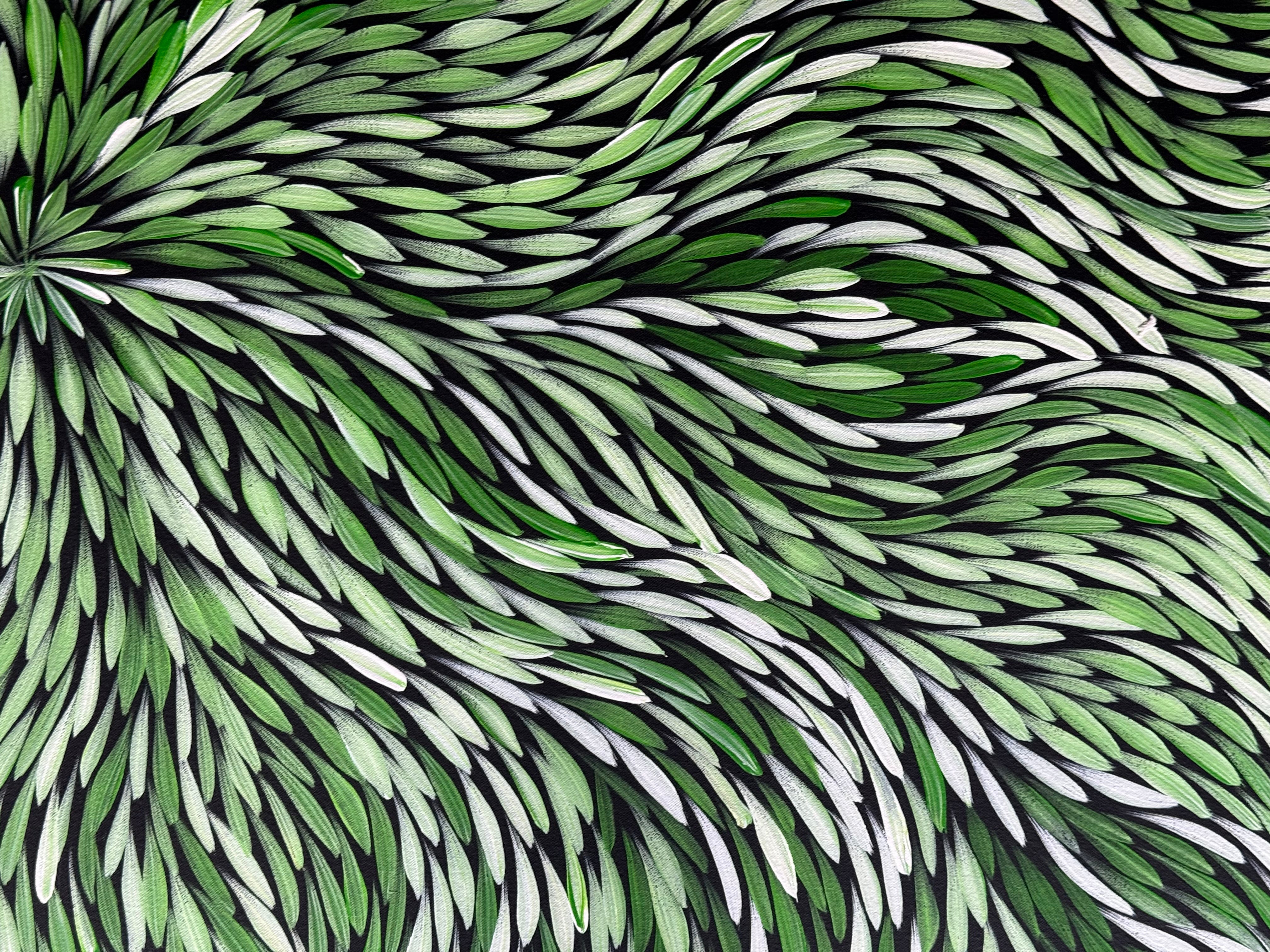 Sharon Numina - Bush Medicine Leaves .33-4