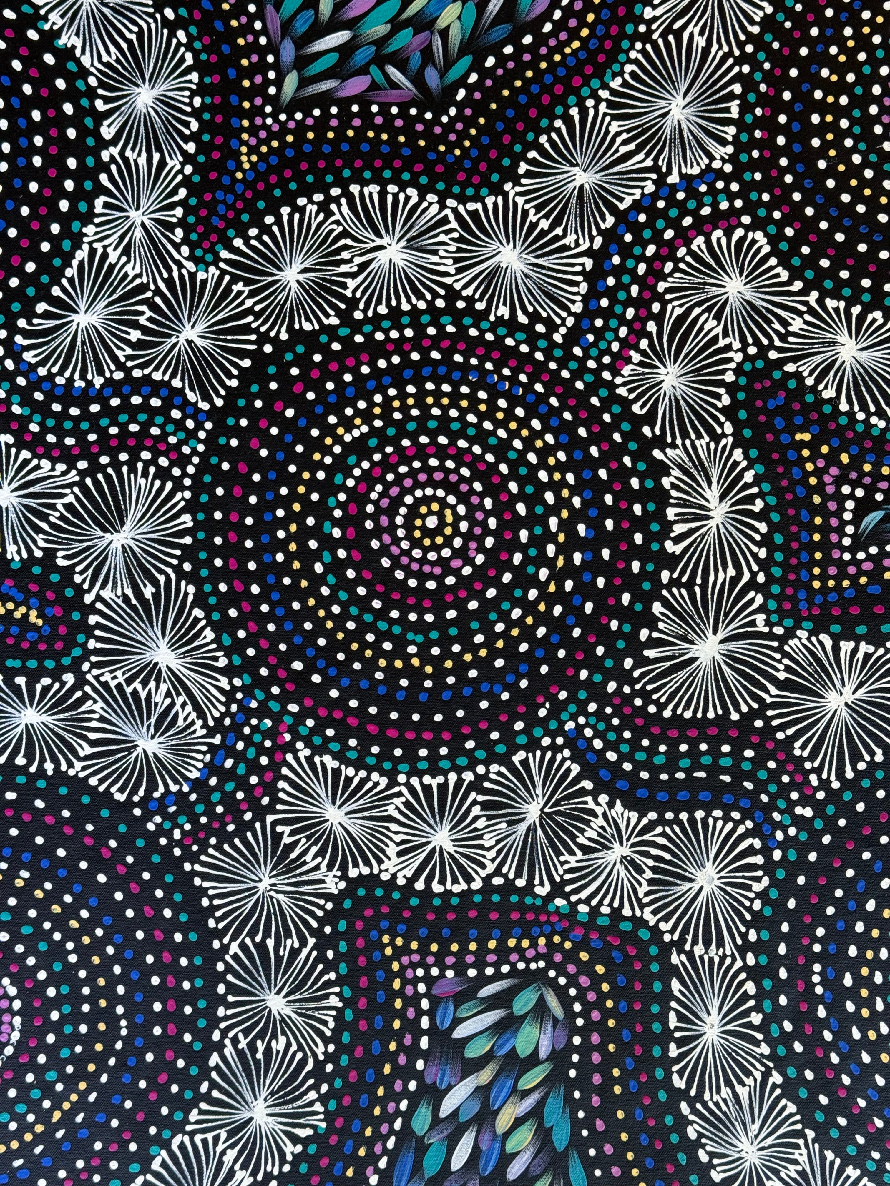 Selina Numina Kamprina - Seeds and Waterholes .92-17