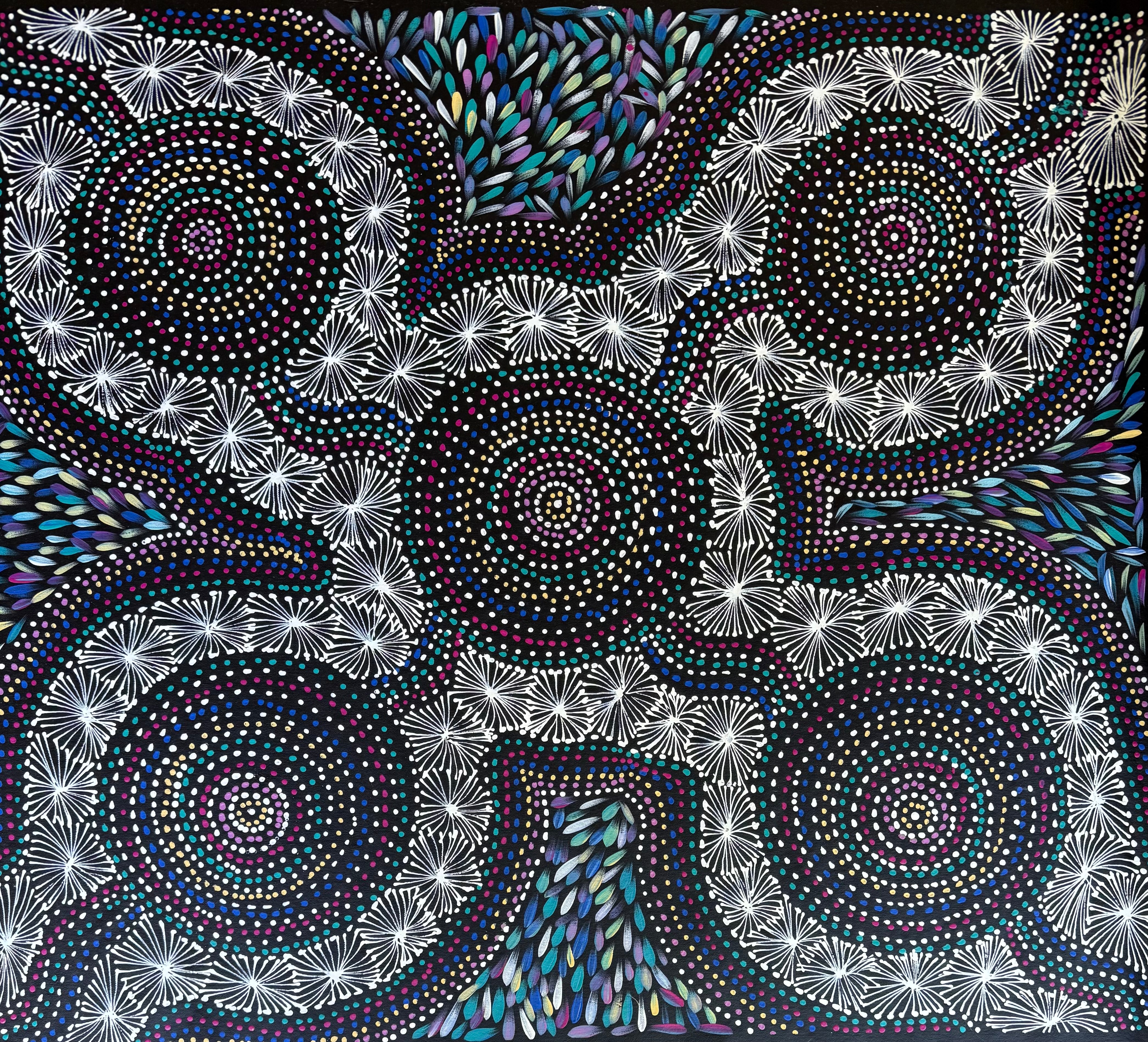Selina Numina Kamprina - Seeds and Waterholes .92-17