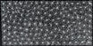 Sharon Numina - Thorny Lizard Skins .59-1