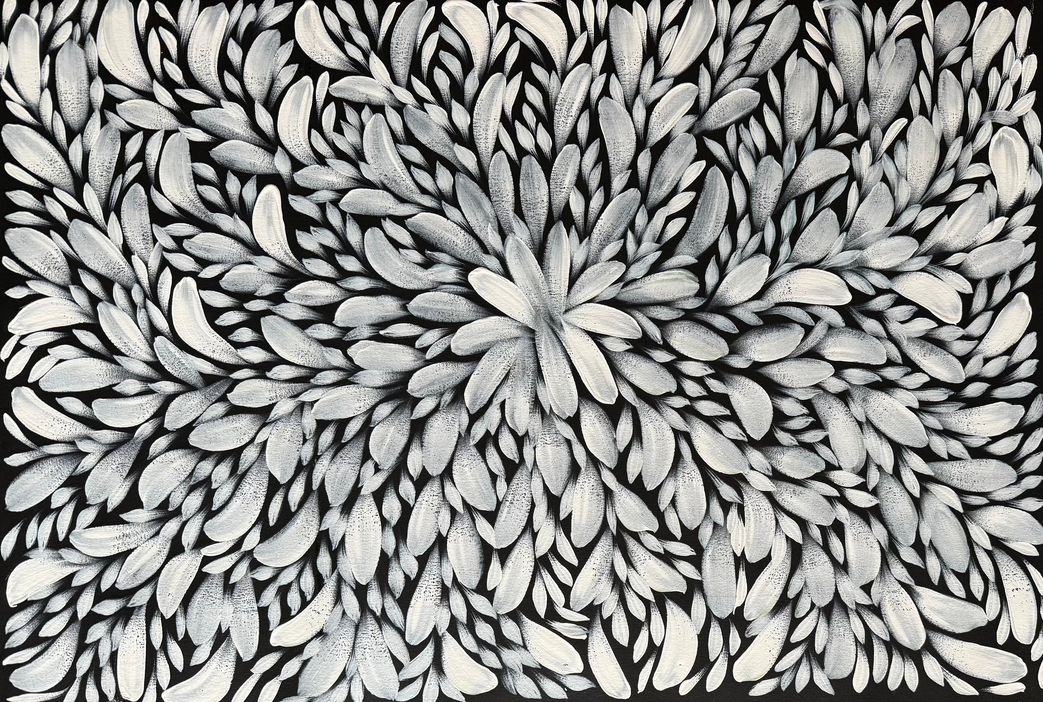 Louise Numina Napananka - Bush Medicine Leaves .49-22