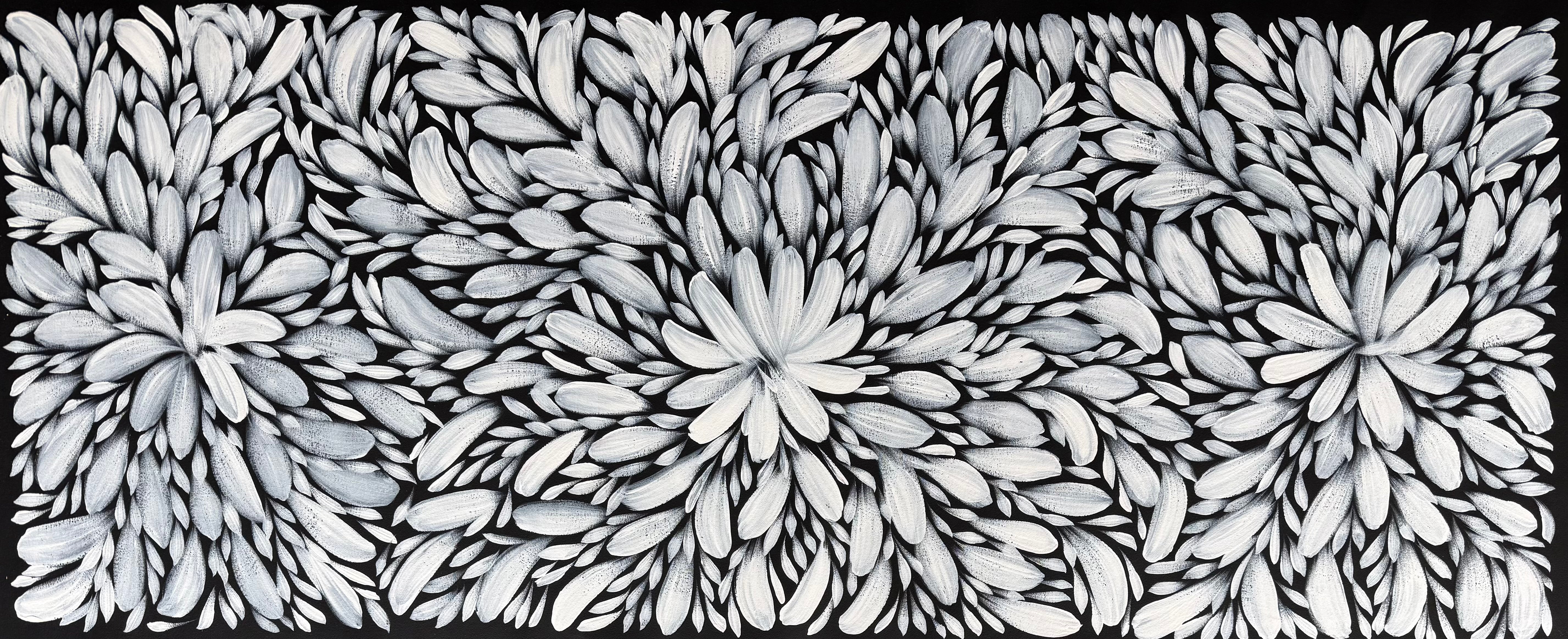 Louise Numina Napananka - Bush Medicine Leaves .16-75