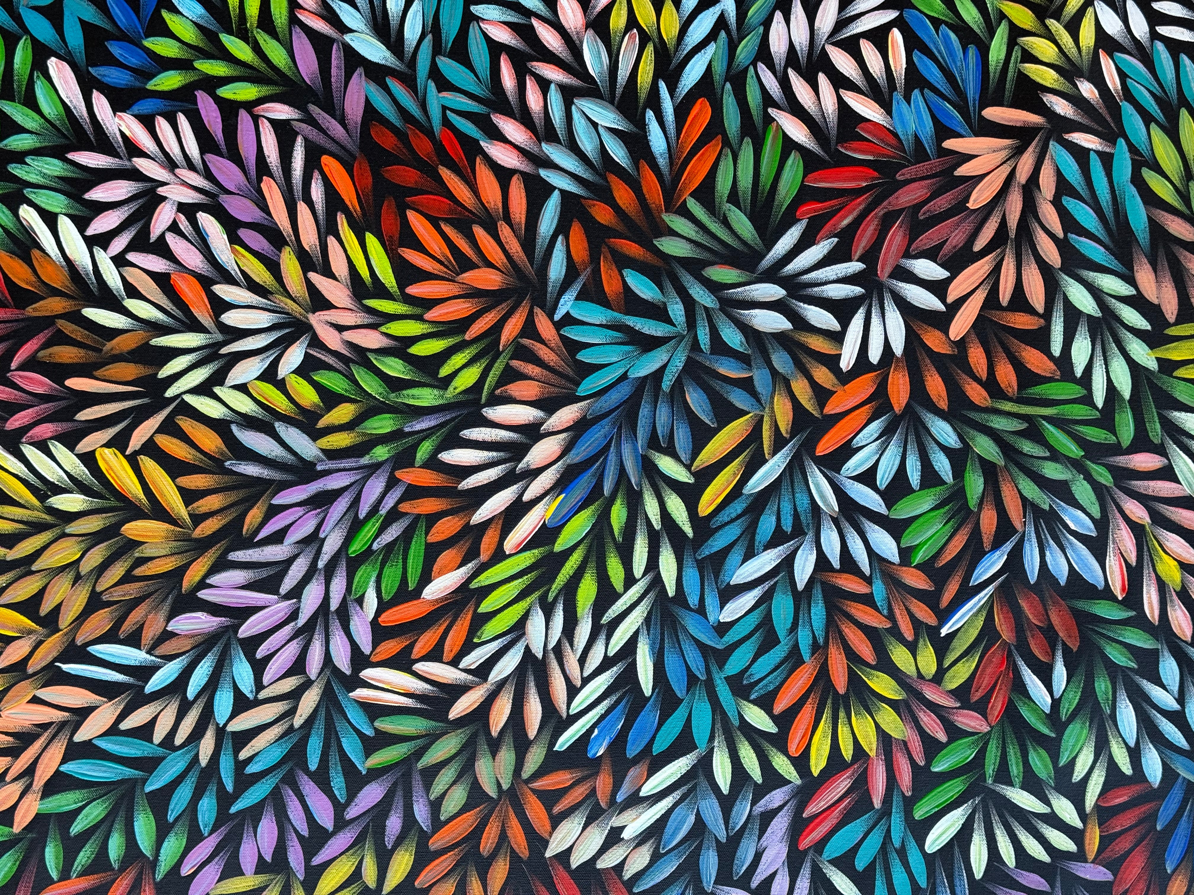 Sharon Numina - Bush Medicine Leaves .01-2