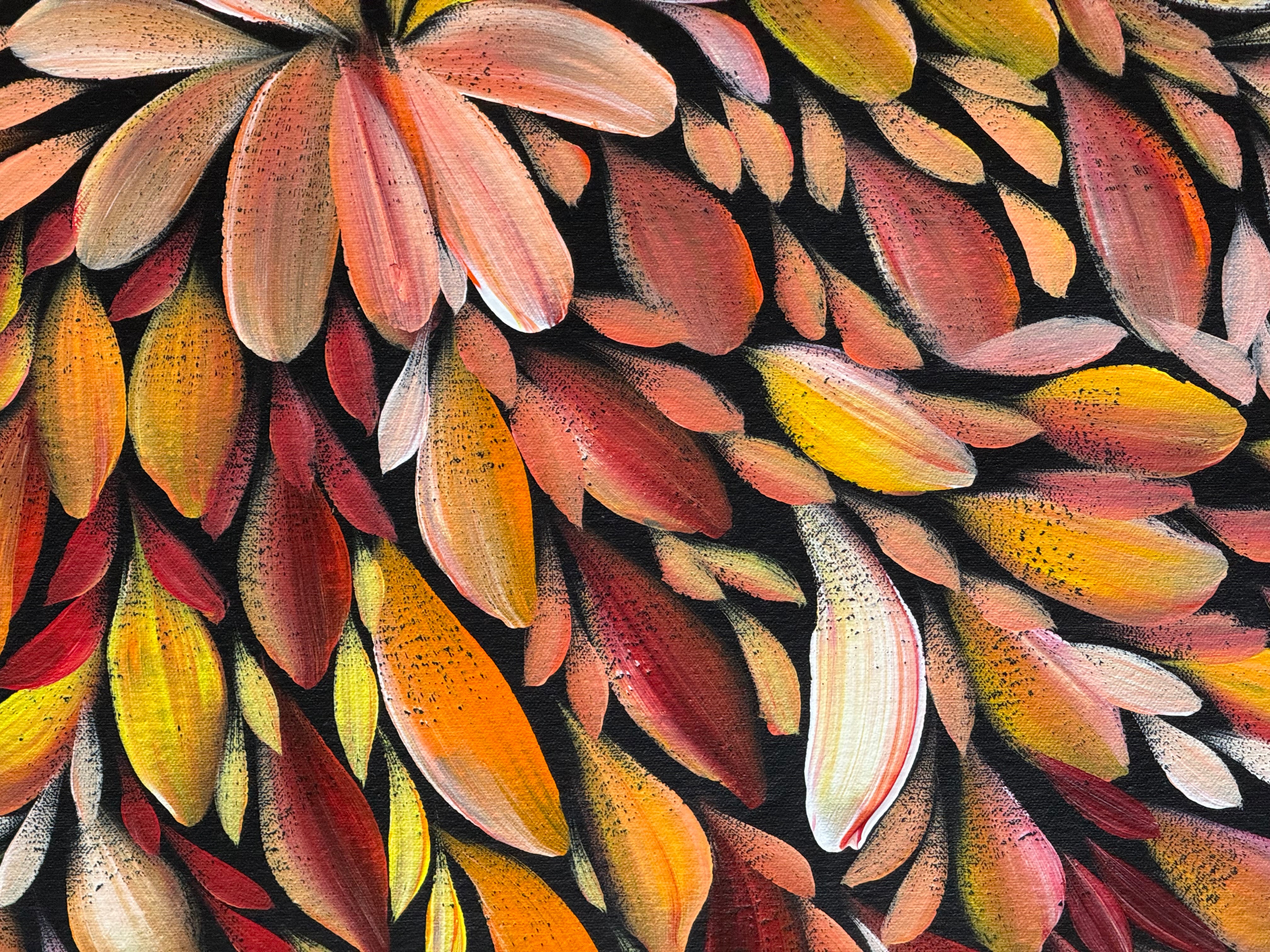 Louise Numina Napananka - Bush Medicine Leaves .24-3
