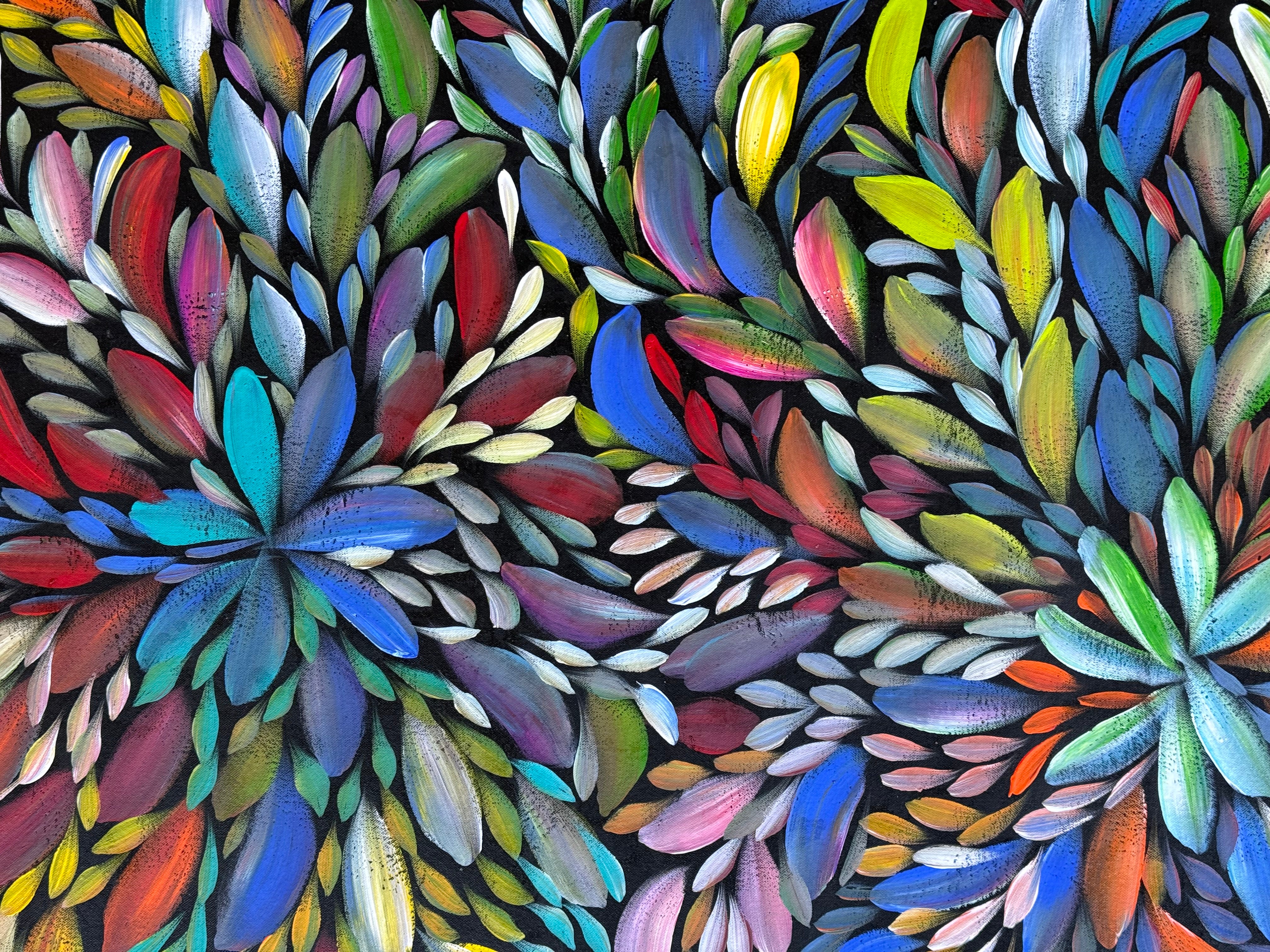 Louise Numina Napananka - Bush Medicine Leaves .09-23