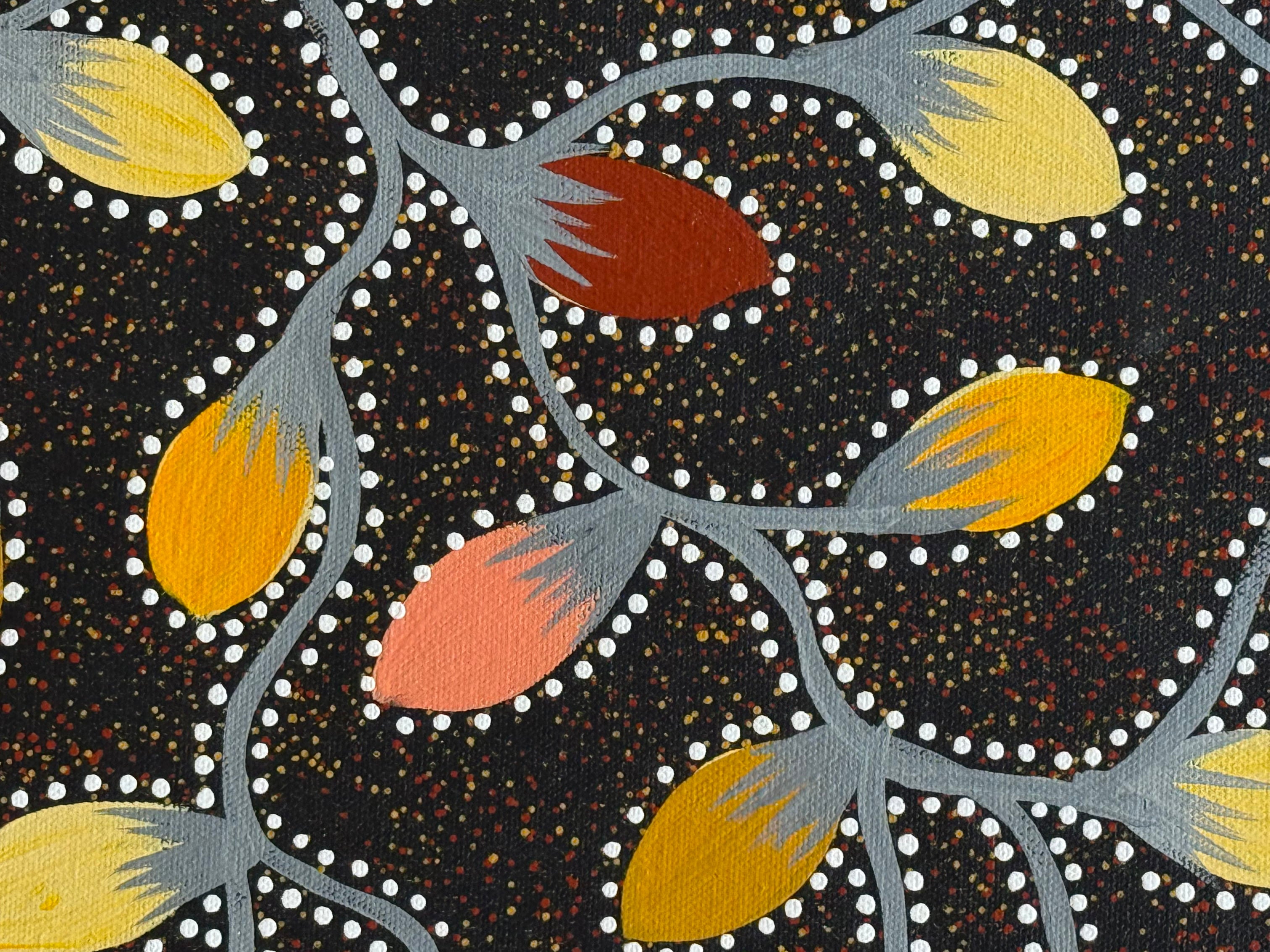 Jacinta Numina Waugh - Bush Tomatoes - 38x52cm .30-5