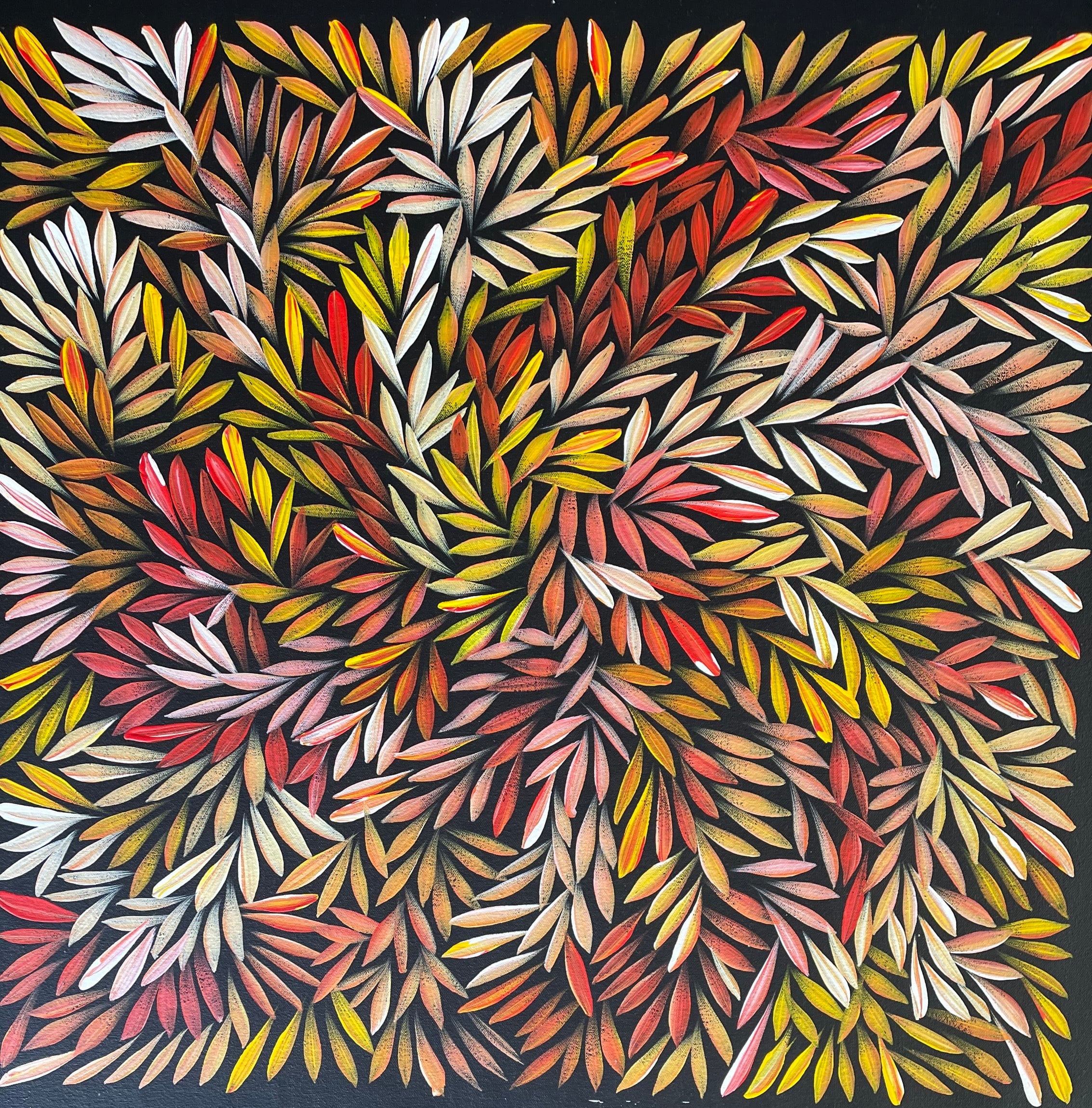 Sharon Numina - Bush Medicine Leaves - 59x60cm .92-3