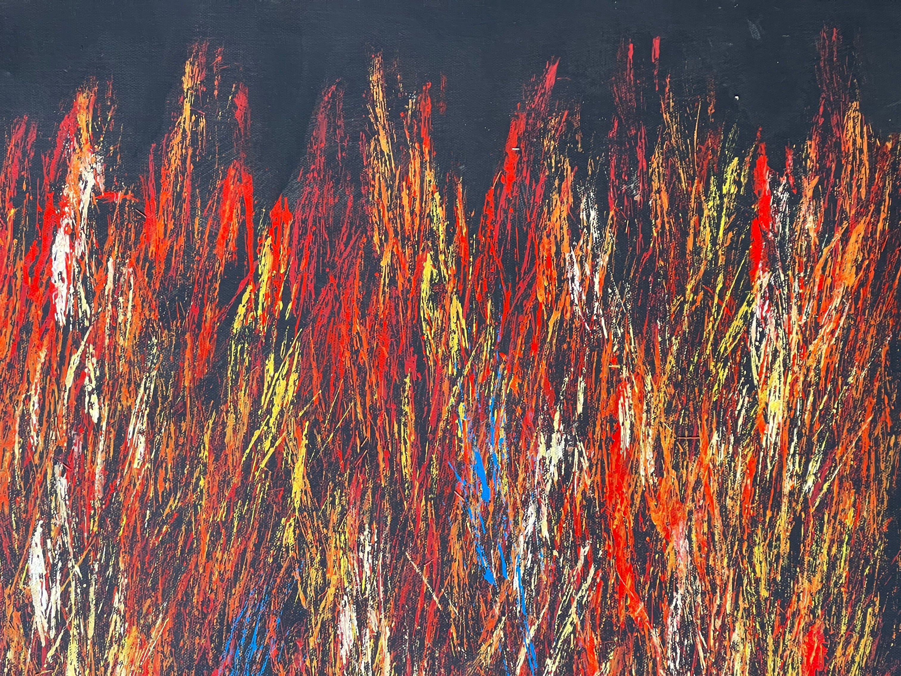 Reggie Sultan - 91x70cm - Bushfire Dreaming .55-4