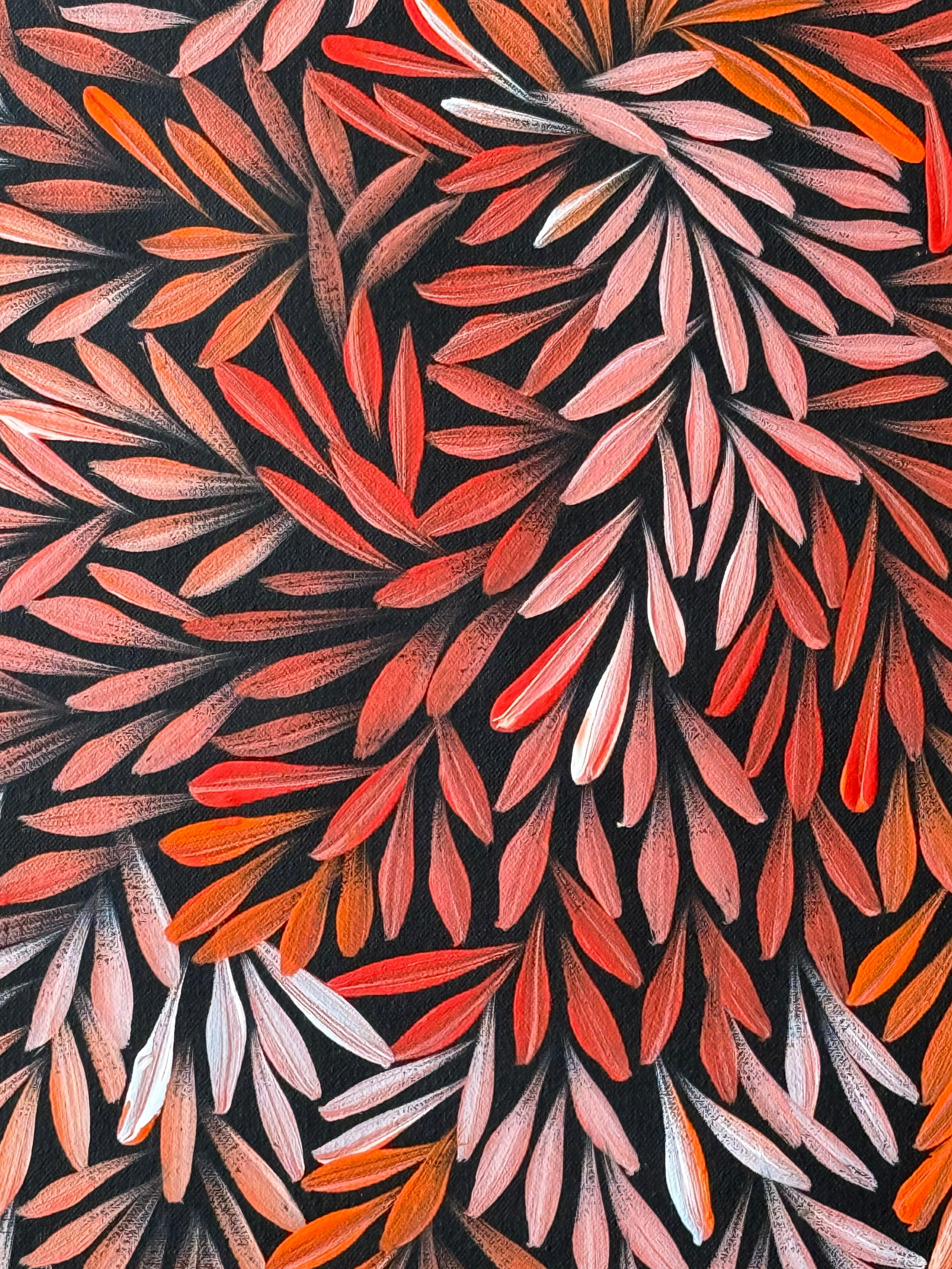 Sharon Numina - Bush Medicine Leaves - 64x52cm .02-24