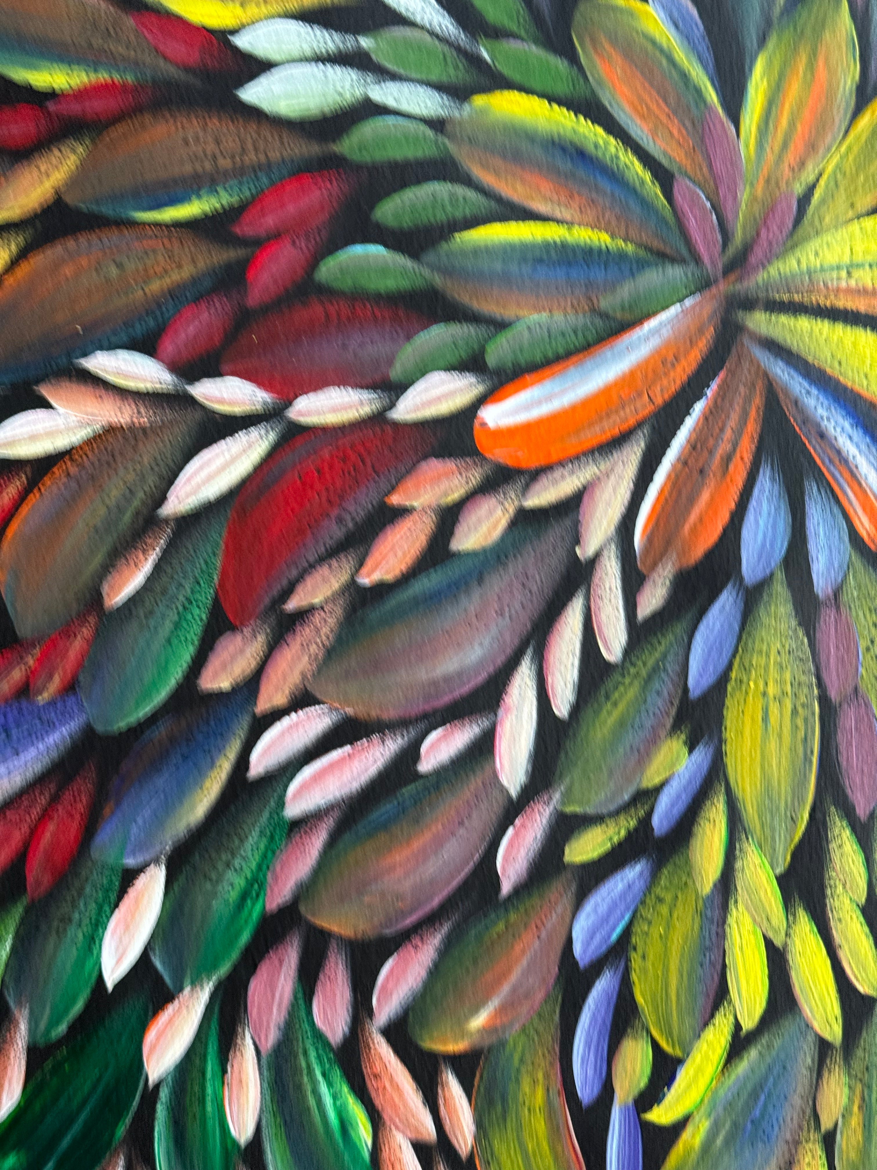 Louise Numina Napananka - Bush Medicine Leaves .26-11