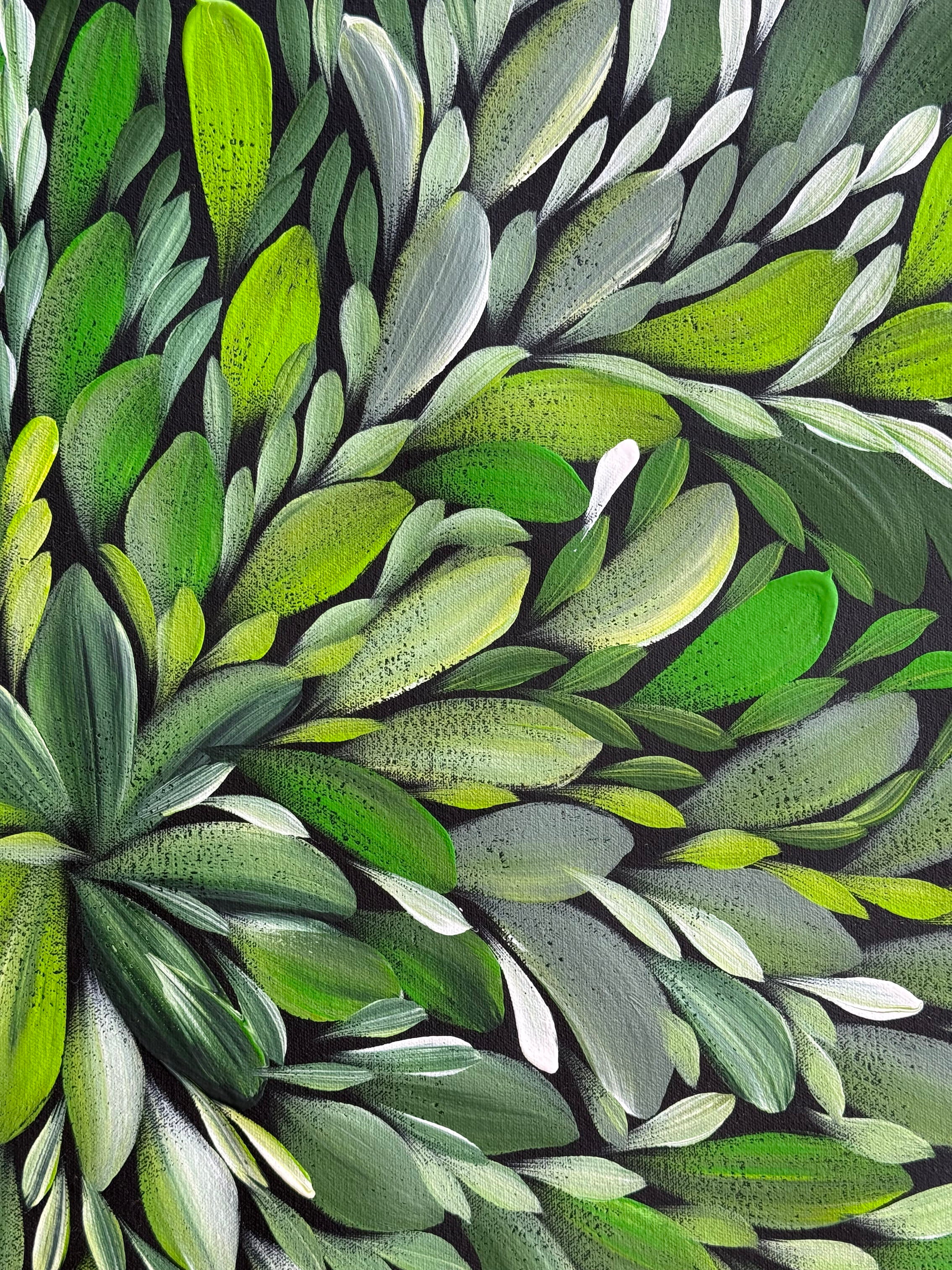 Louise Numina Napananka - Bush Medicine Leaves - 61x61cm .18-8