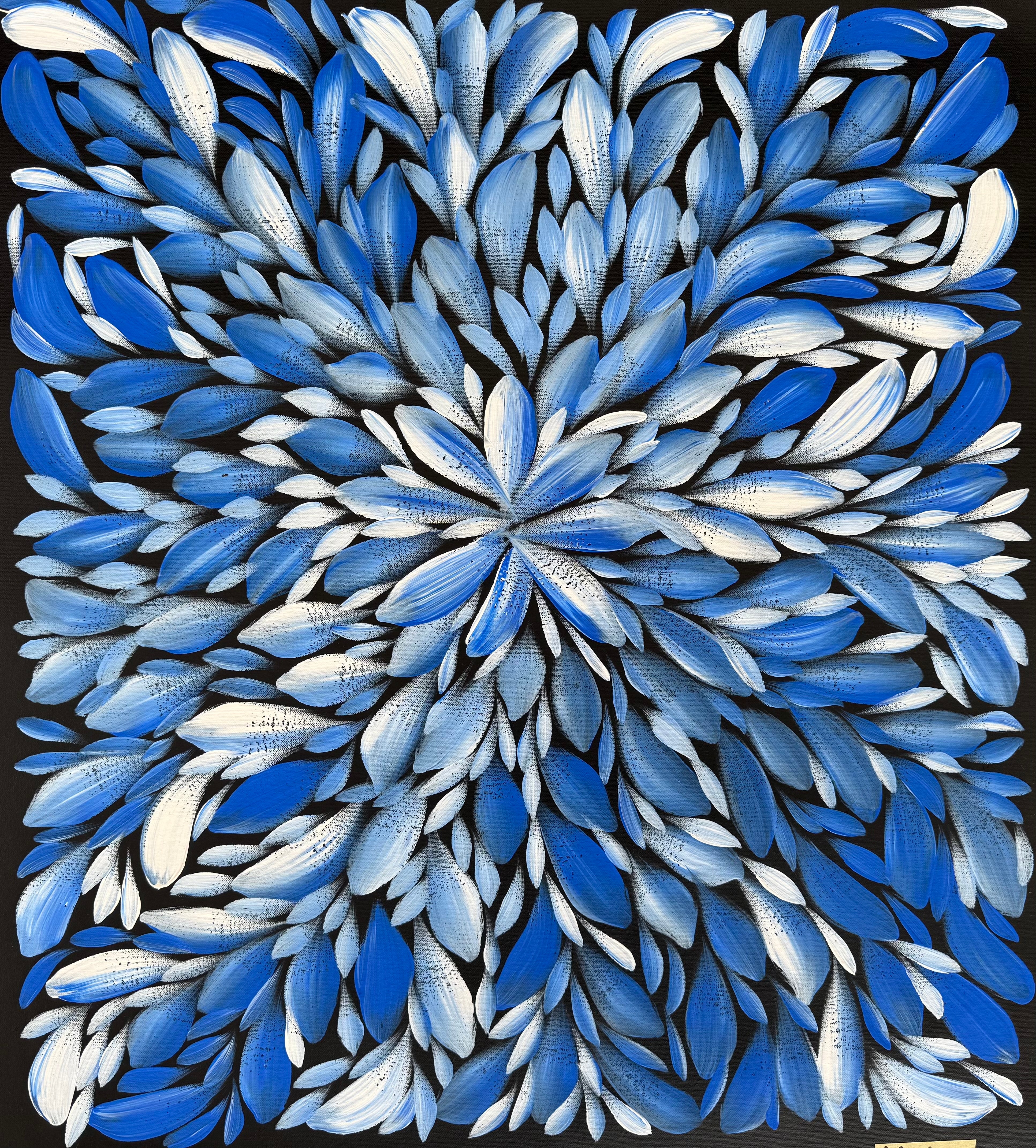 Louise Numina Napananka - Bush Medicine Leaves .75-10