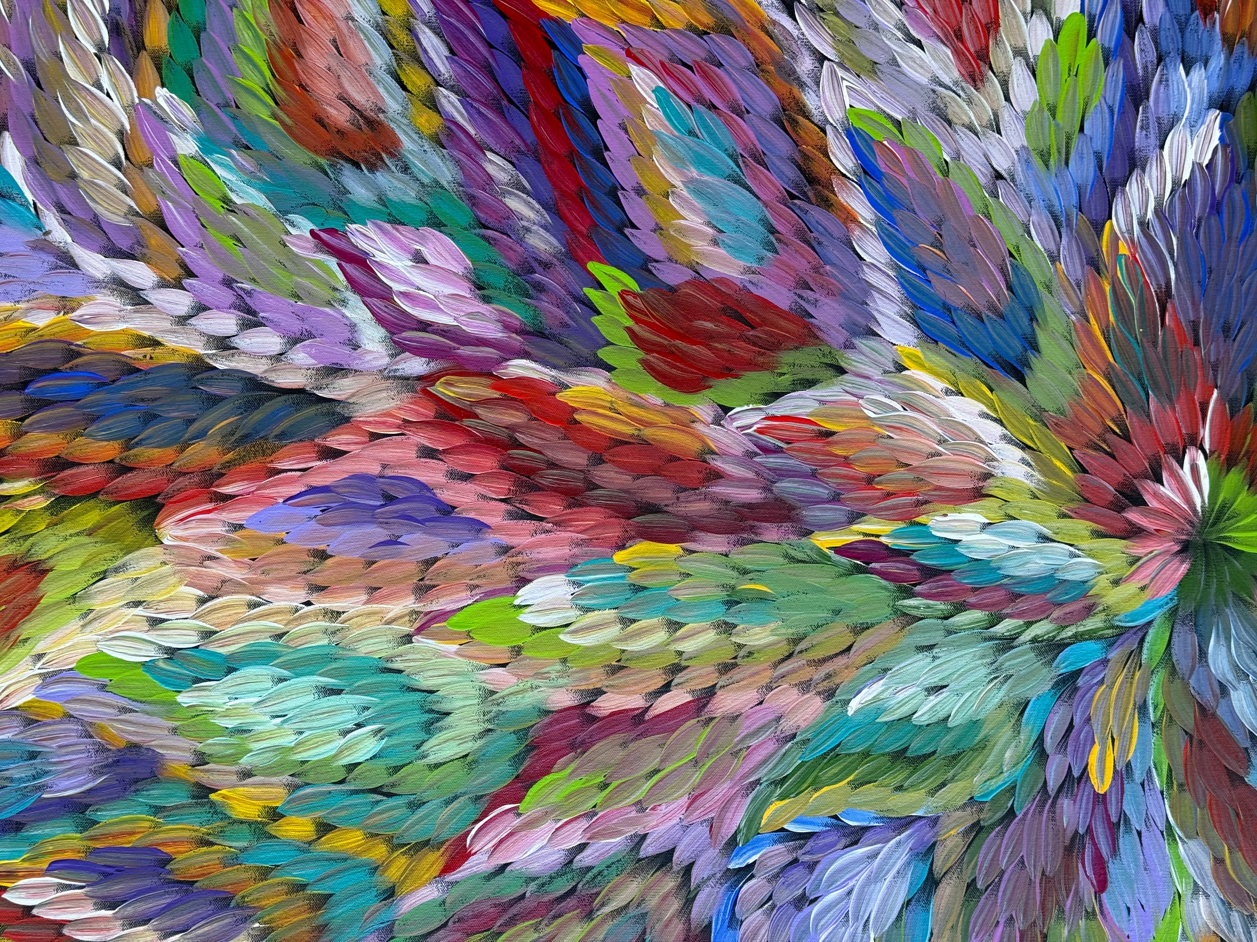 Caroline Numina - Bush Medicine Leaves .91-15