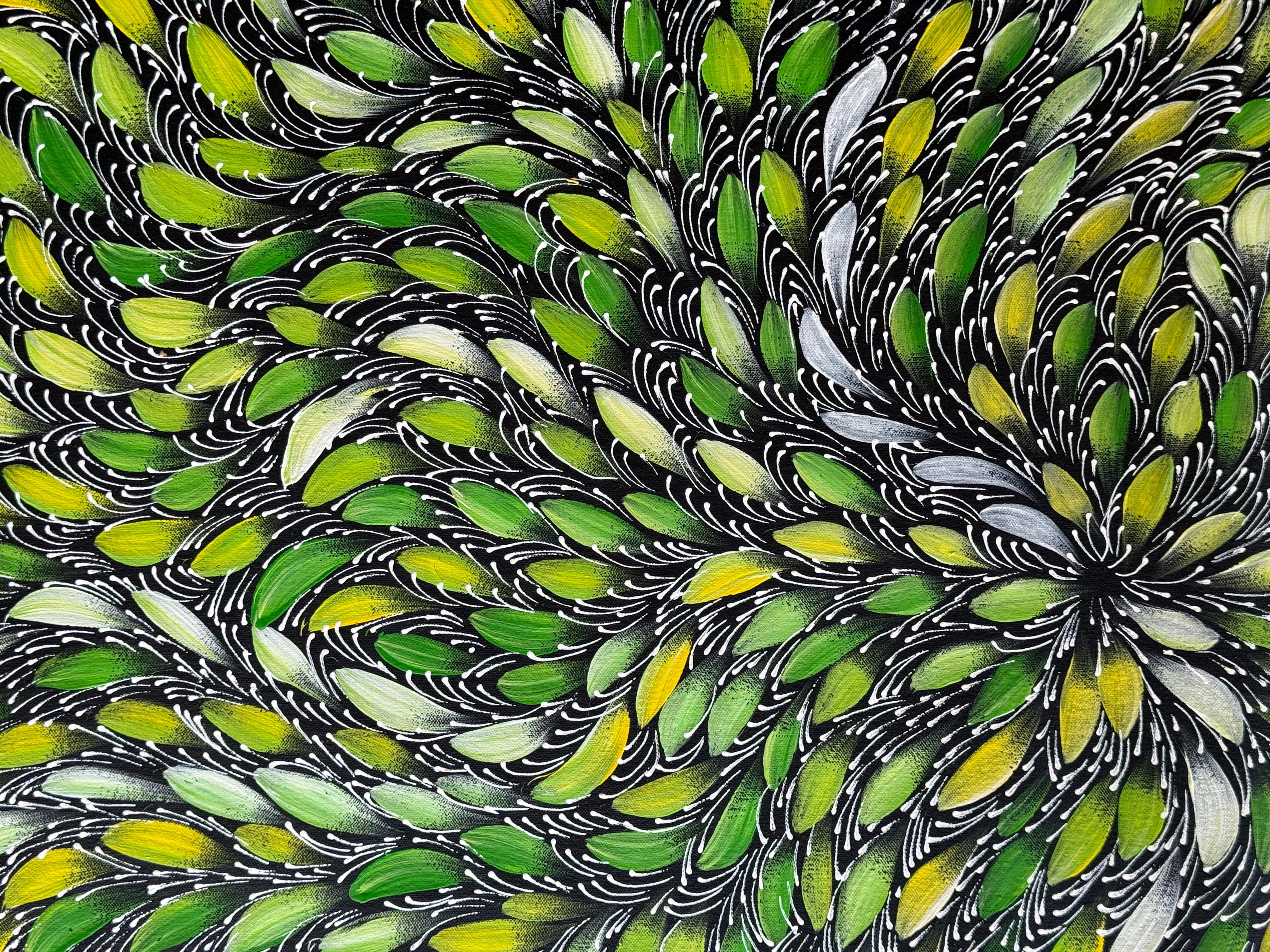 Selina Numina Kamprina - Bush Medicine Leaves .92-14