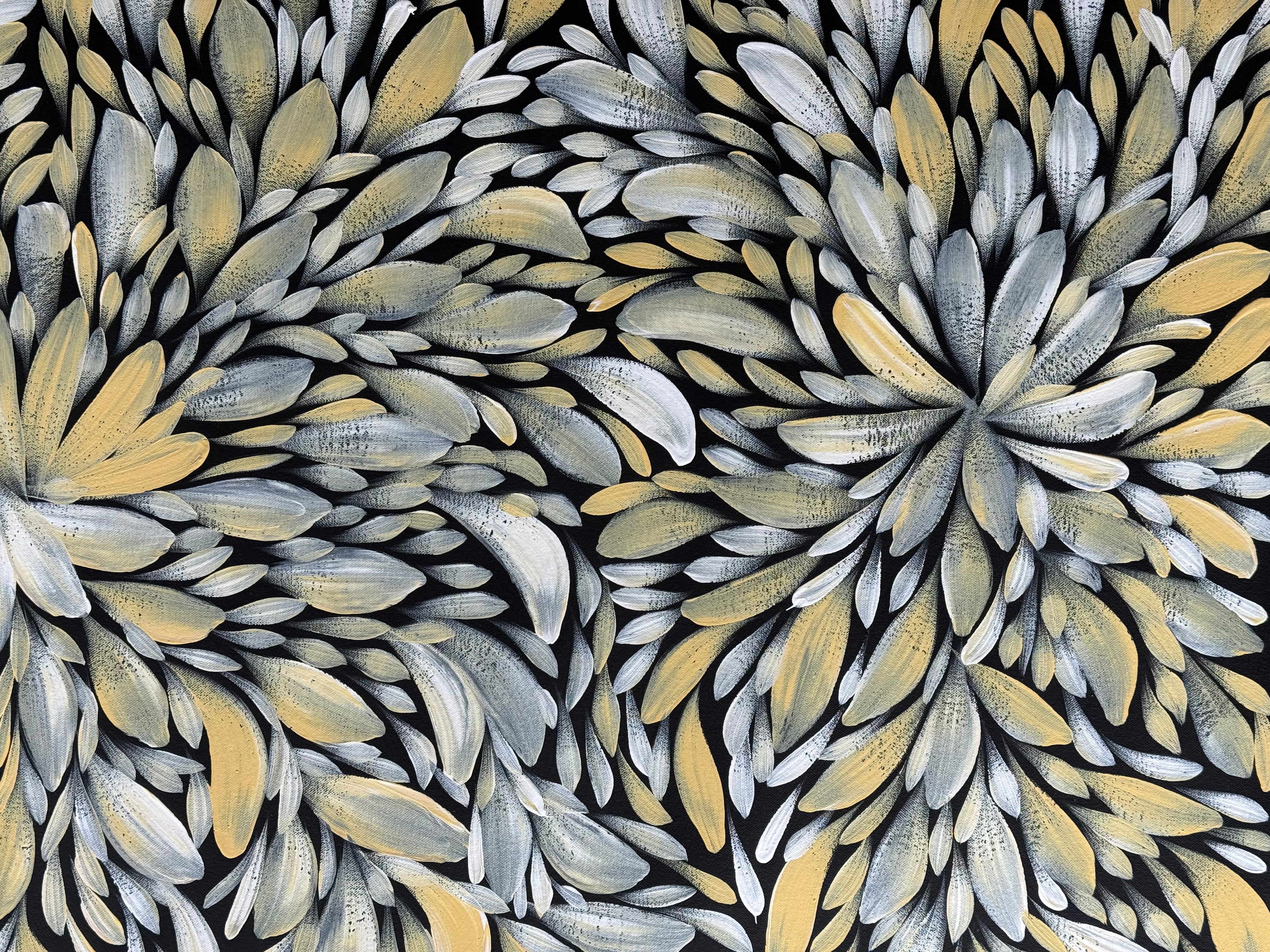 Louise Numina Napananka - Bush Medicine Leaves .57-43